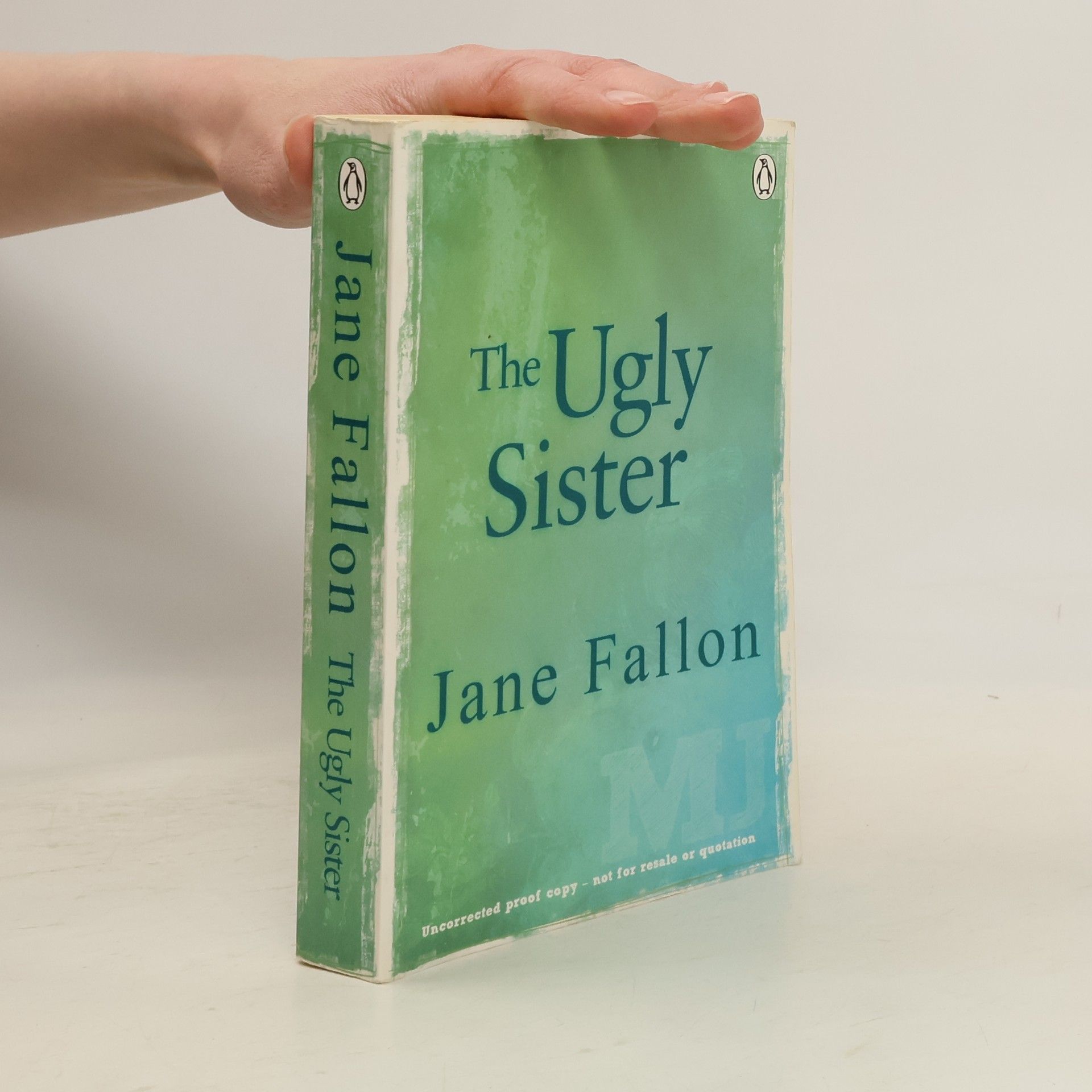 Jane Fallon The ugly sister