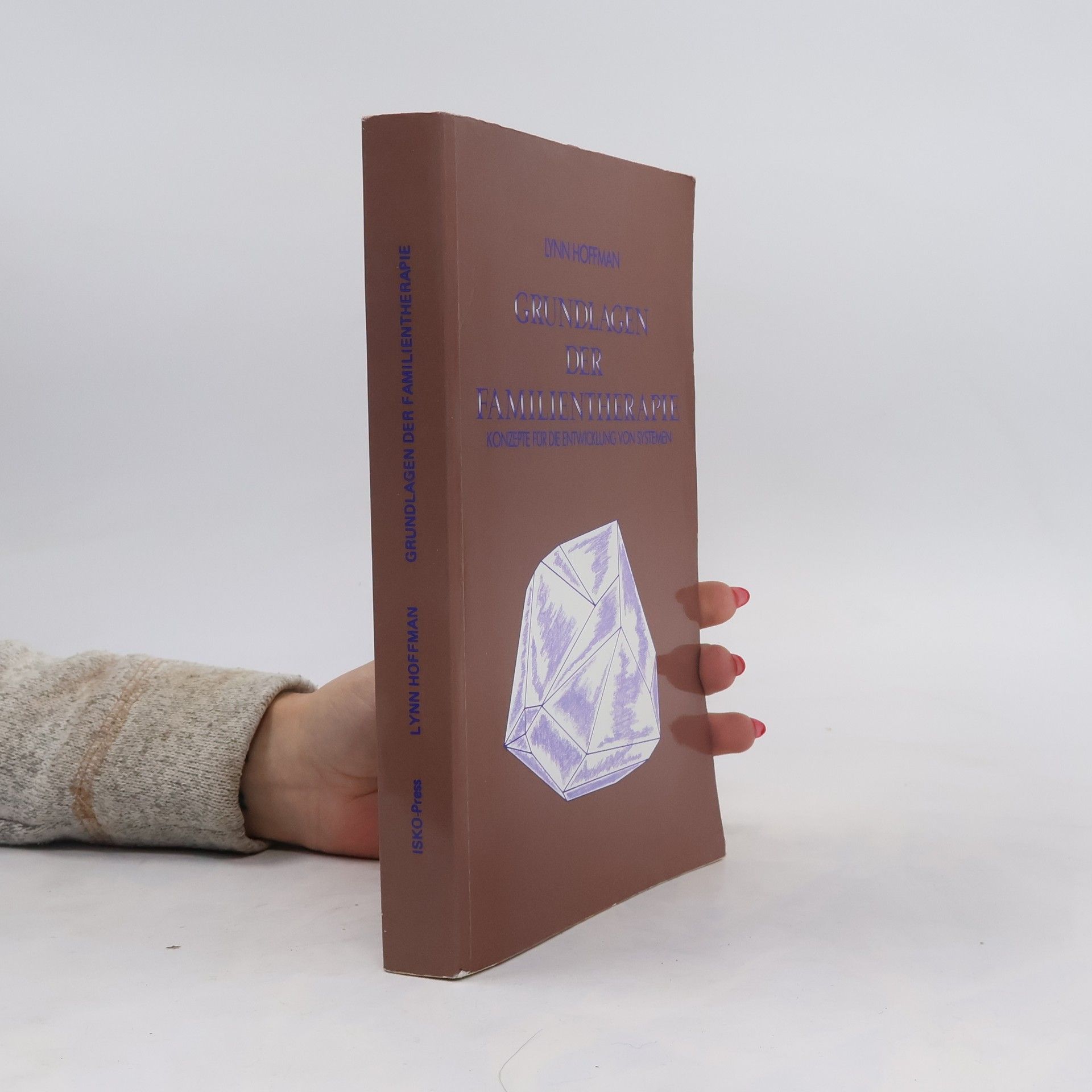 Lynn Hoffman Grundlagen der Familientherapie