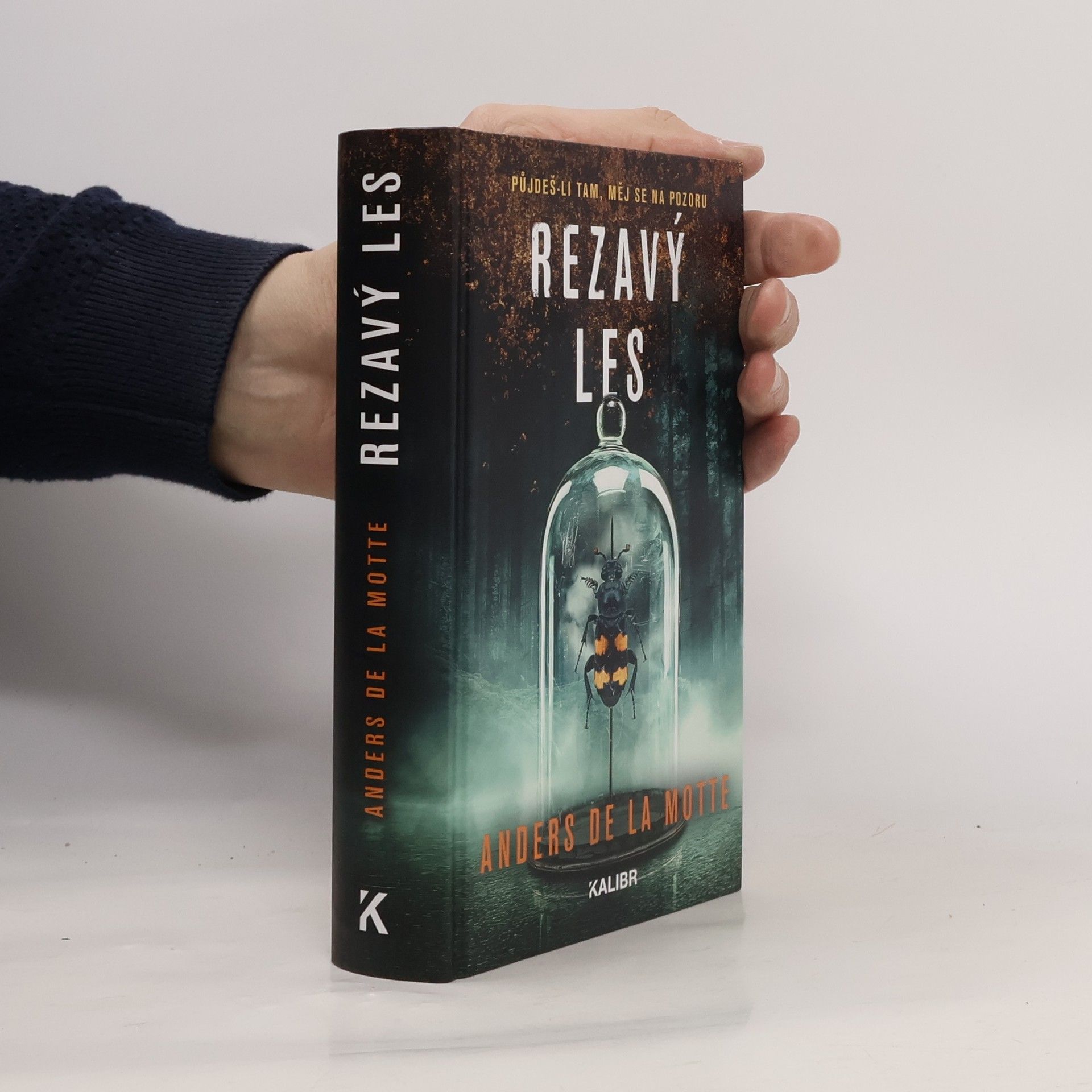 Anders de la Motte Rezavý les