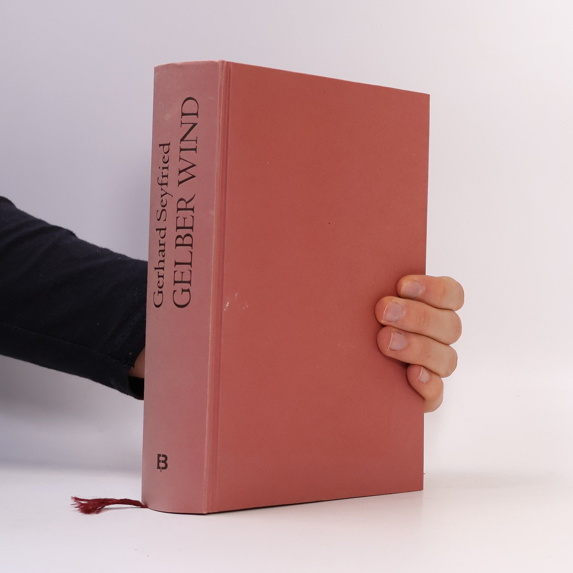 Gerhard Seyfried Gelber Wind oder der Aufstand der Boxer