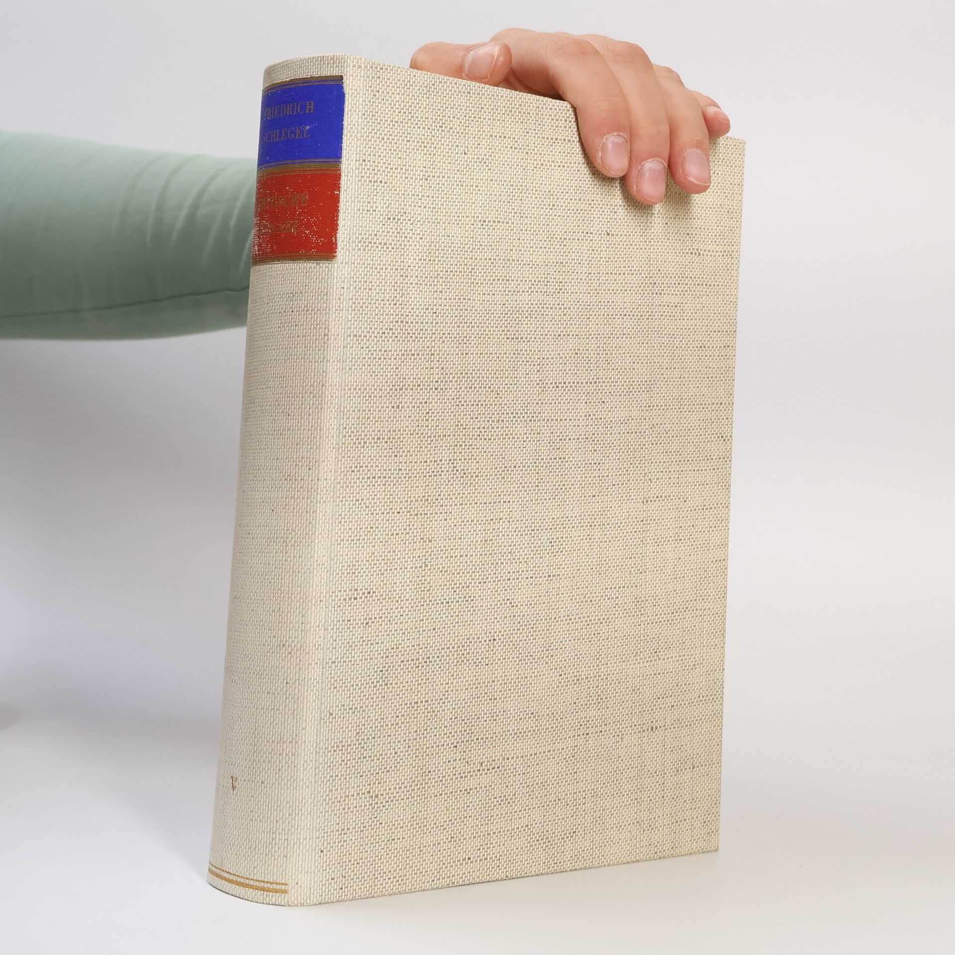 Friedrich Schlegel Dichtungen