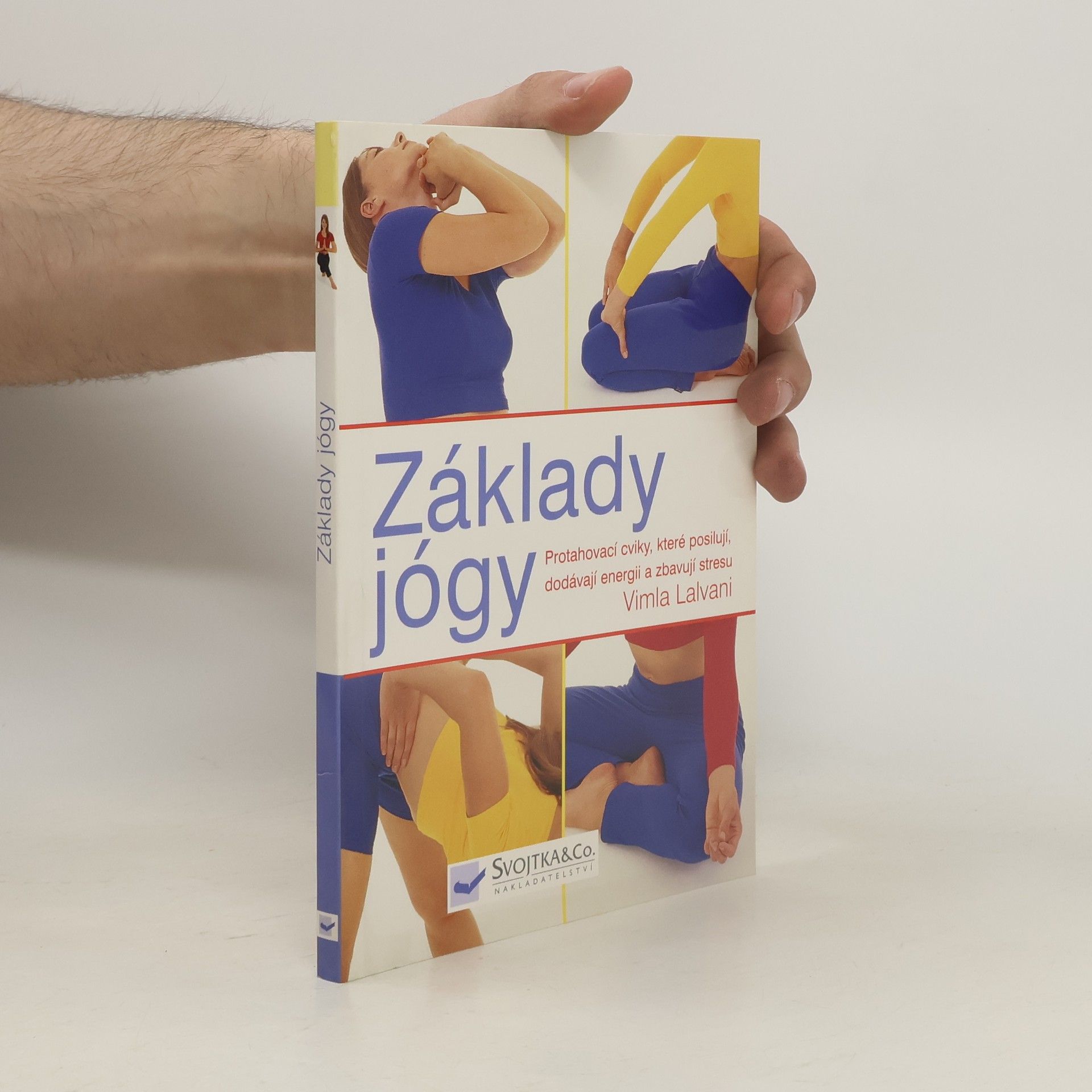 Vimla Lalvani Základy jógy: Protahovací cviky, které posilují, dodávají energii a zbavují stresu