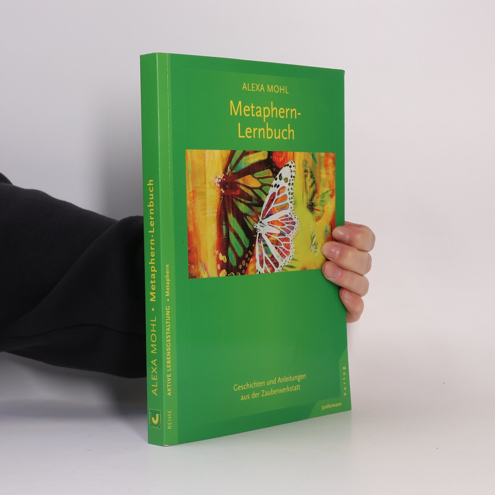 Alexa Mohl Das Metaphern-Lernbuch