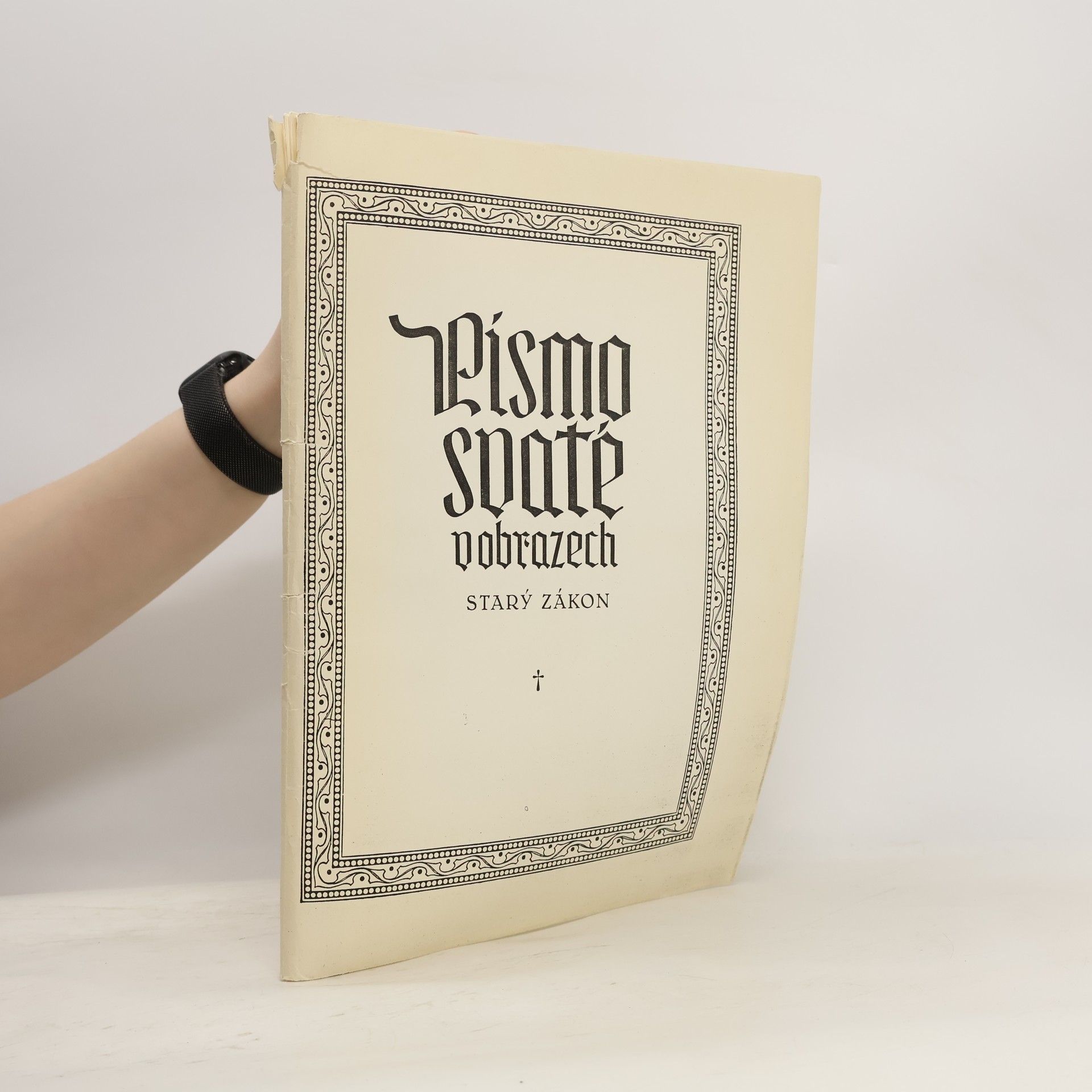 Rudolf Lapčík Písmo svaté v obrazech. Starý zákon