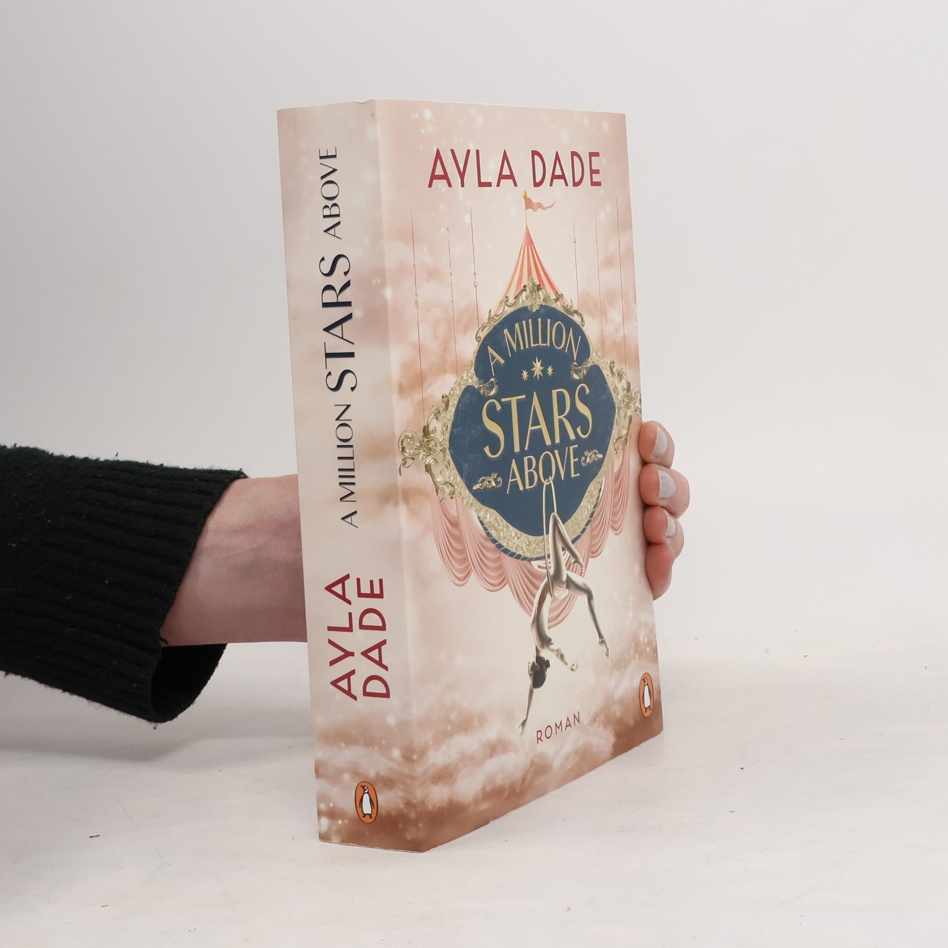 Ayla Dade A Million Stars Above / Sky Circus Bd.1