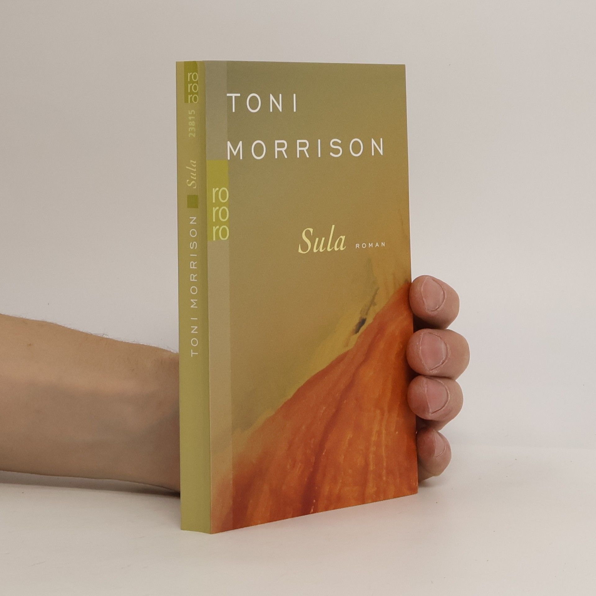 Toni Morrison Sula