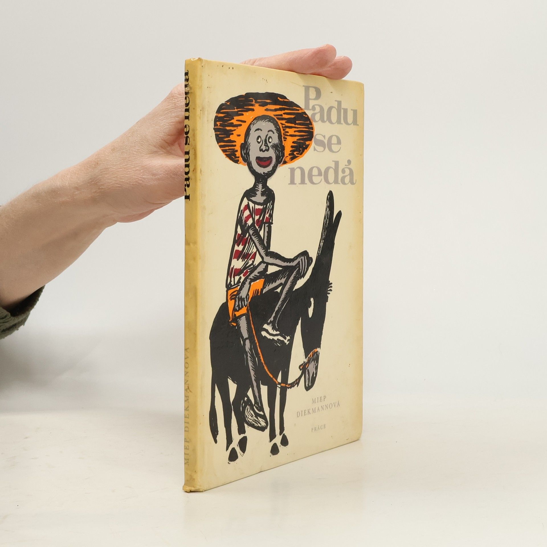 Miep Diekmann Padu se nedá