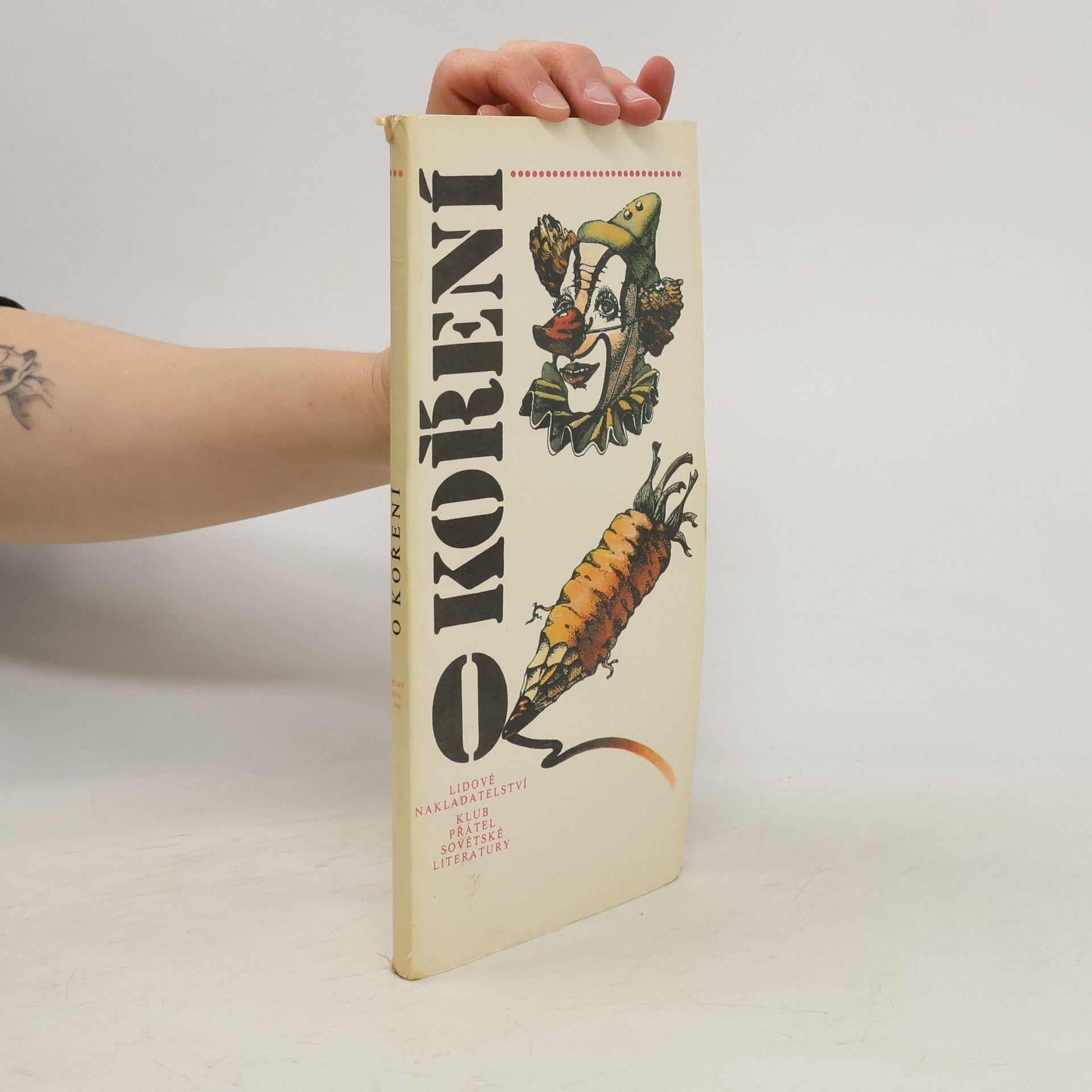 Kolektiv autorů O koření