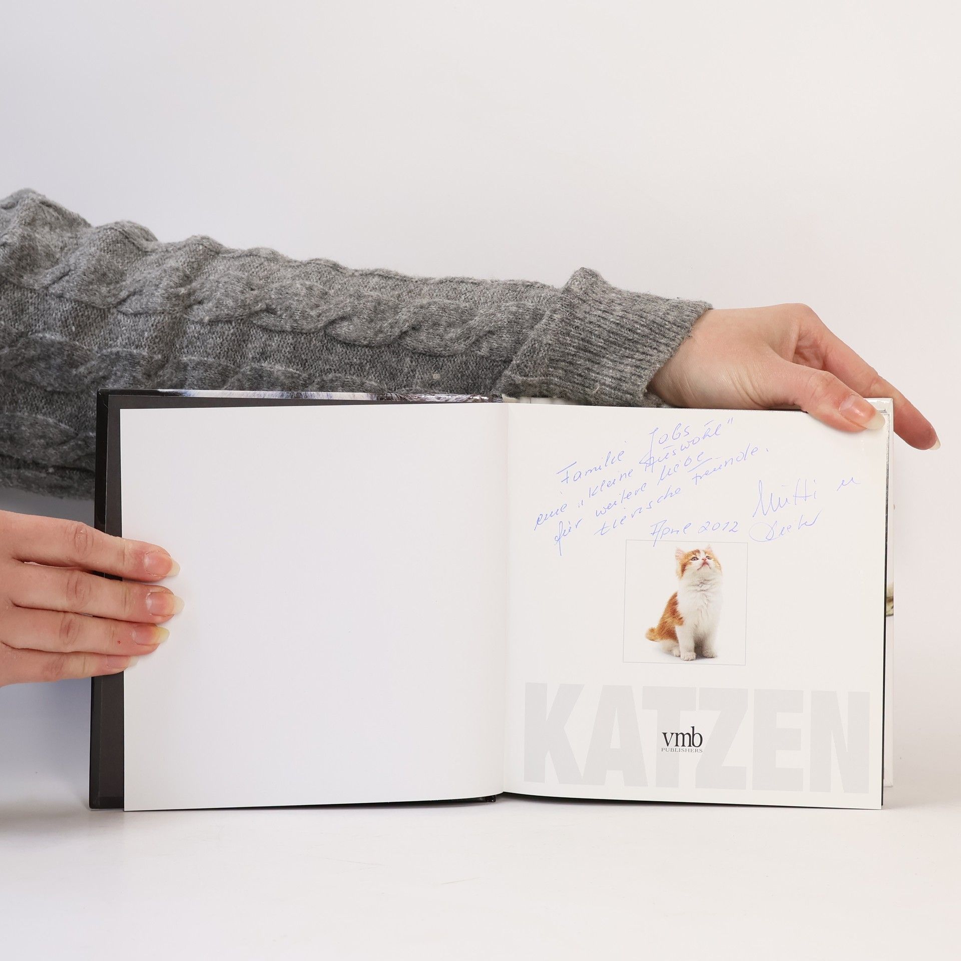 CubeBook Katzen
