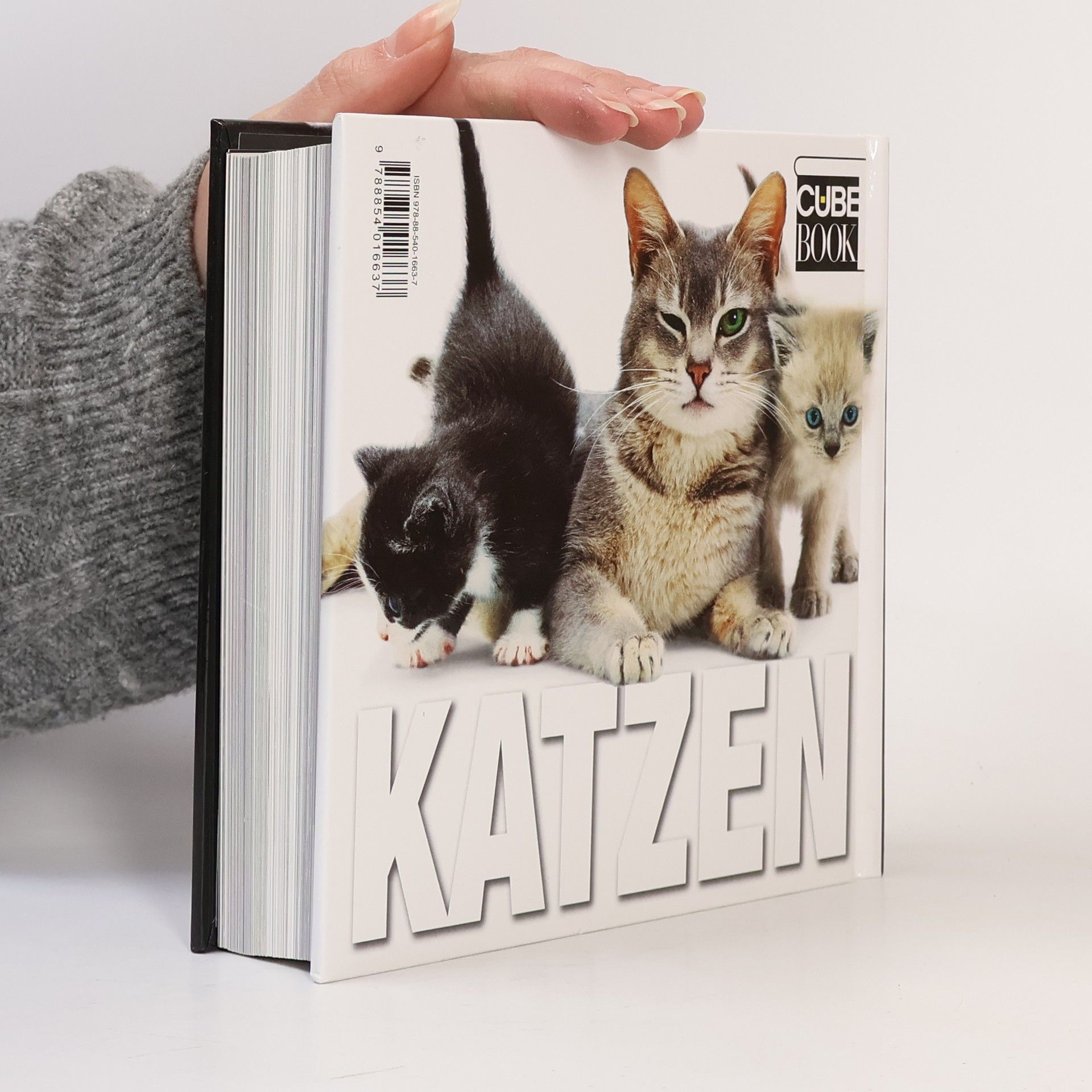 CubeBook Katzen