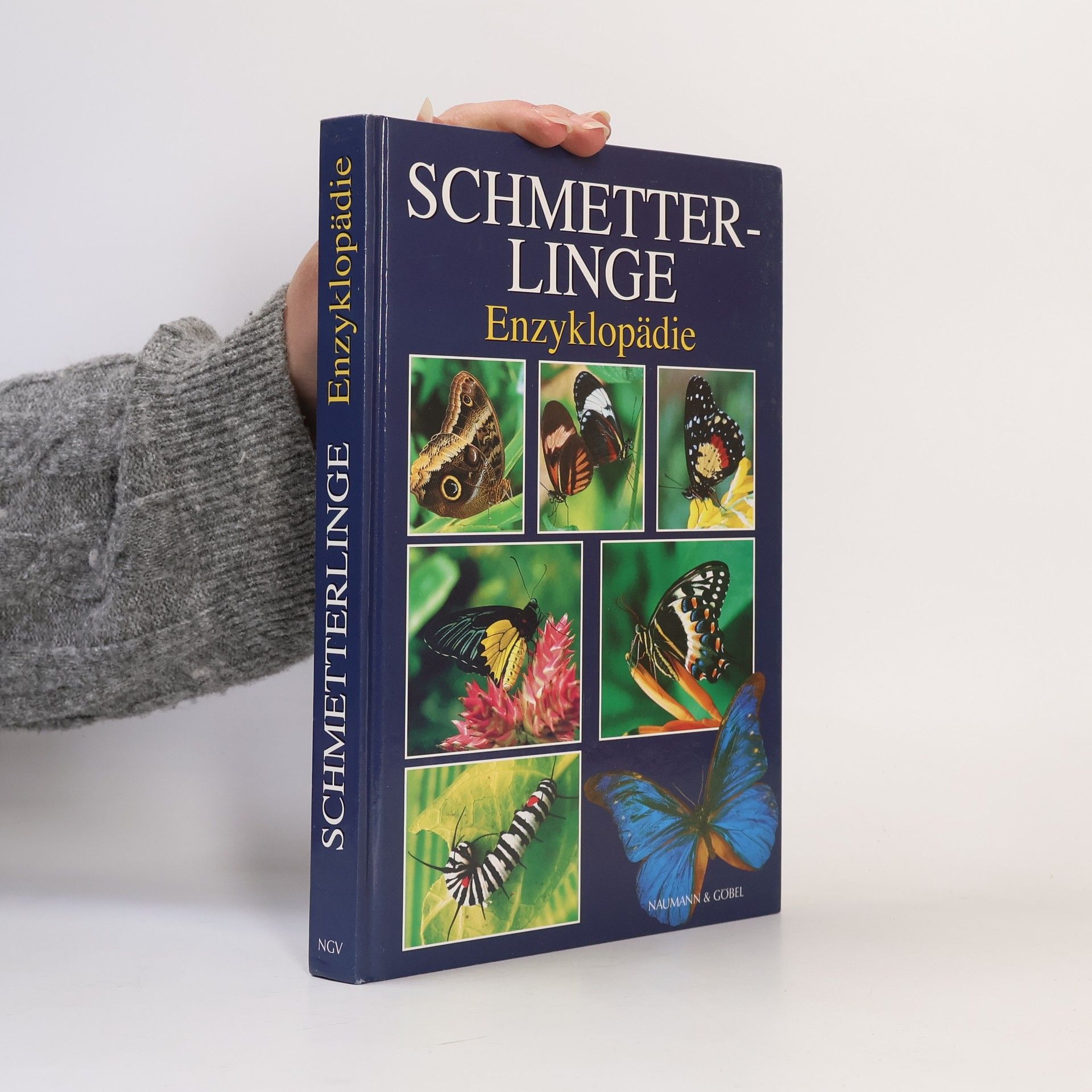 Wijbren Landman Schmetterlinge Enzyklopädie