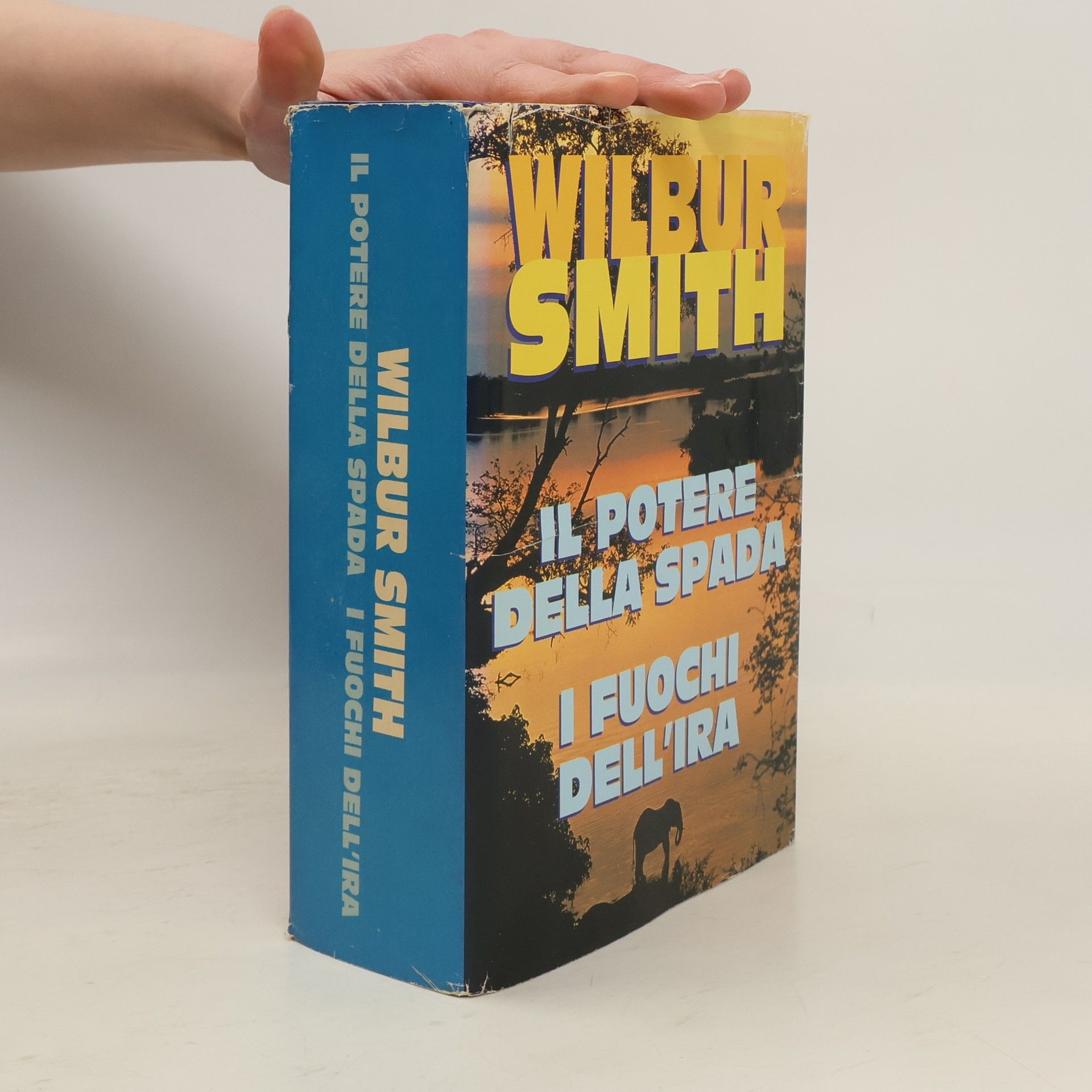 Il potere della spada. I fuochi dell'ira