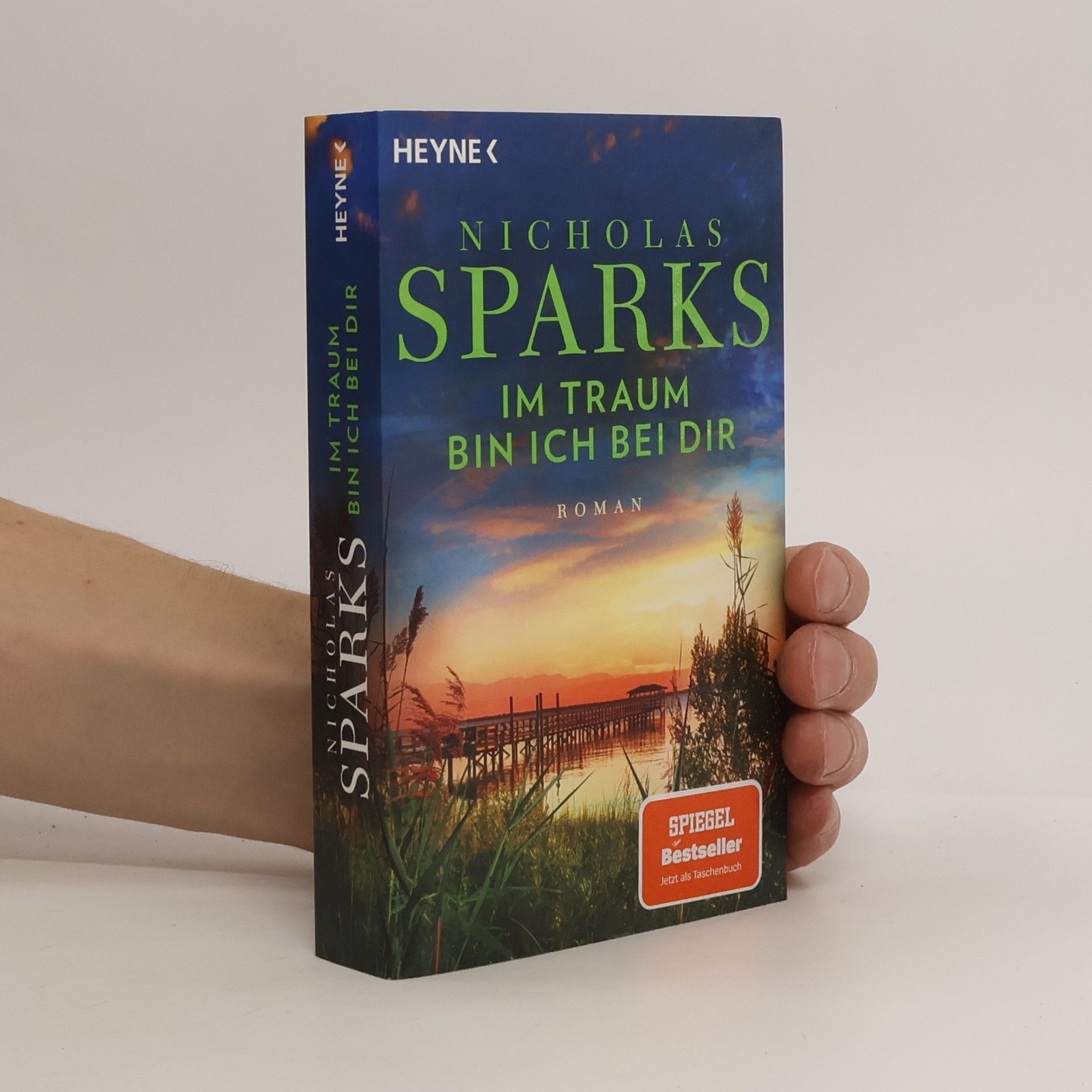 Nicholas Sparks Im Traum bin ich bei dir