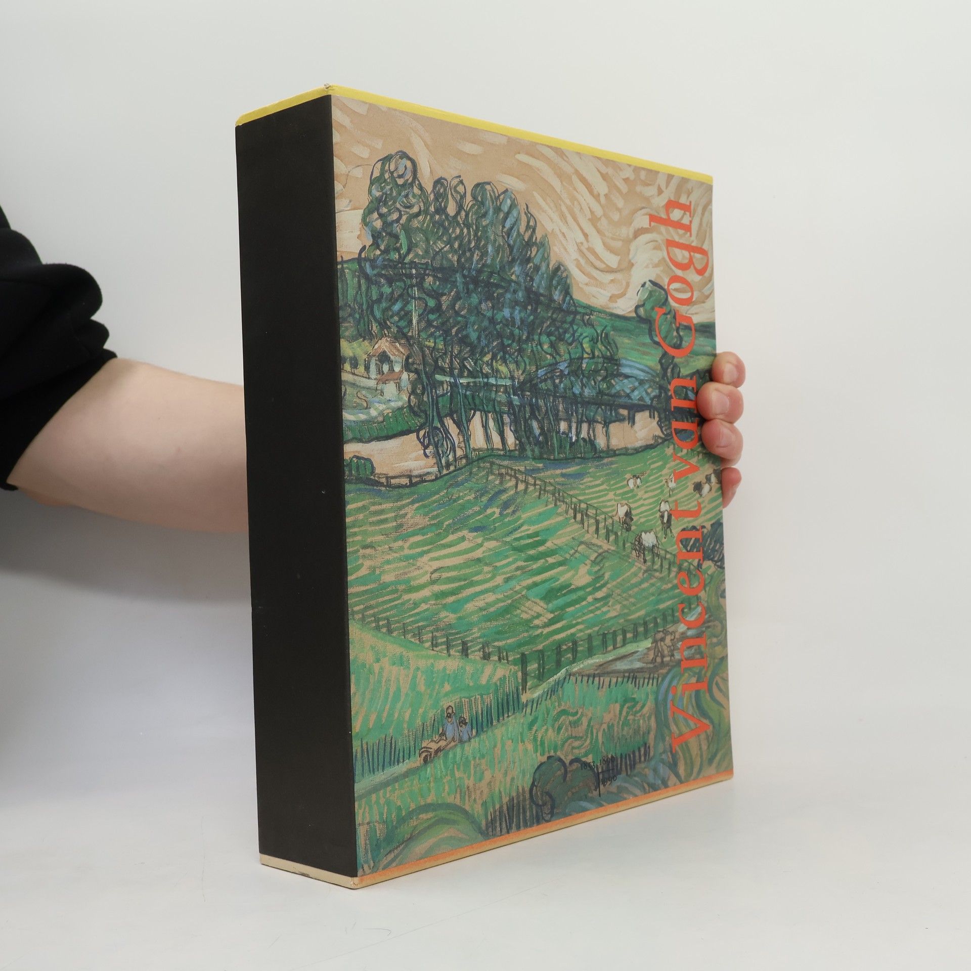 Johannes van der Wolk Vincent van Gogh. Drawings