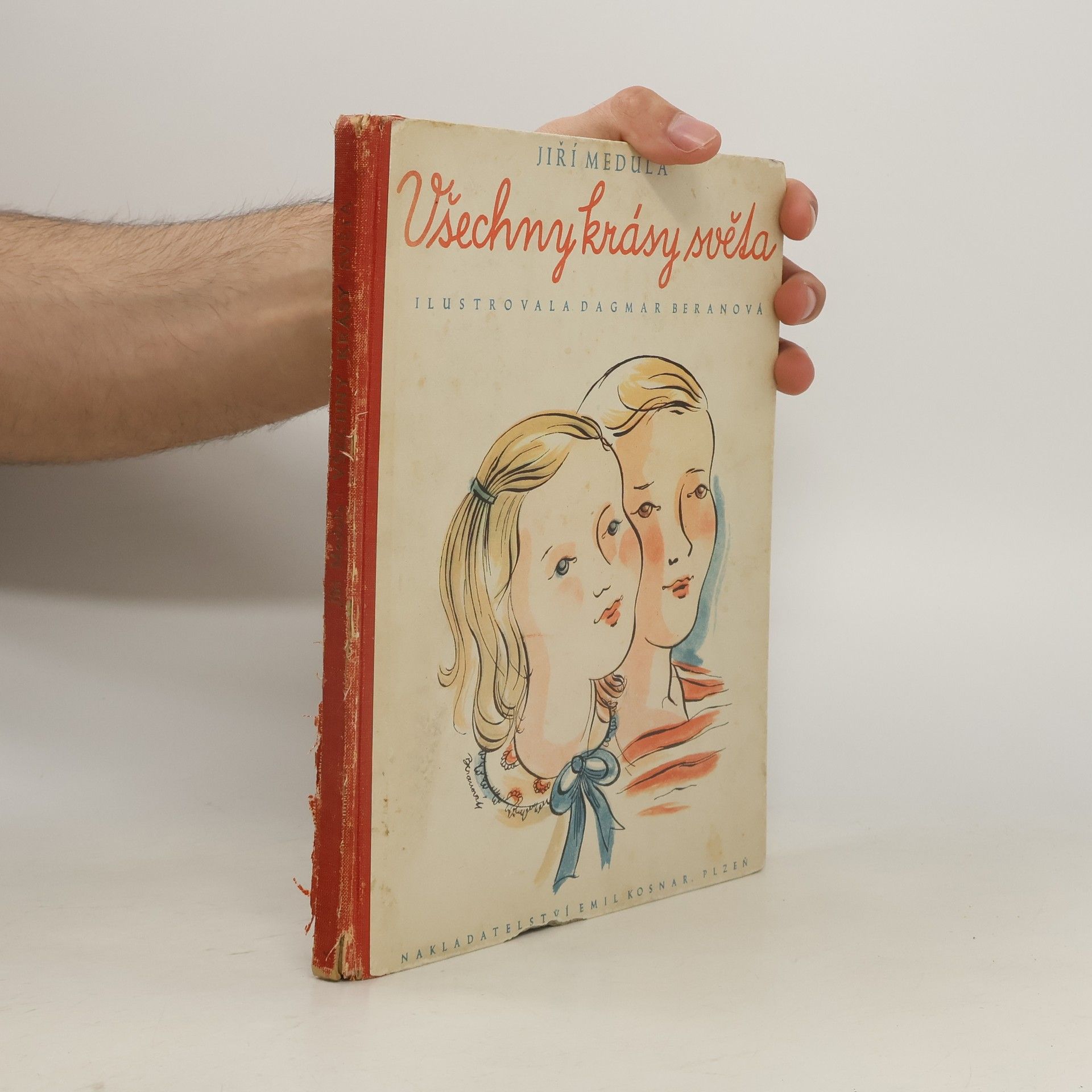 Jiří Medula Všechny krásy světa