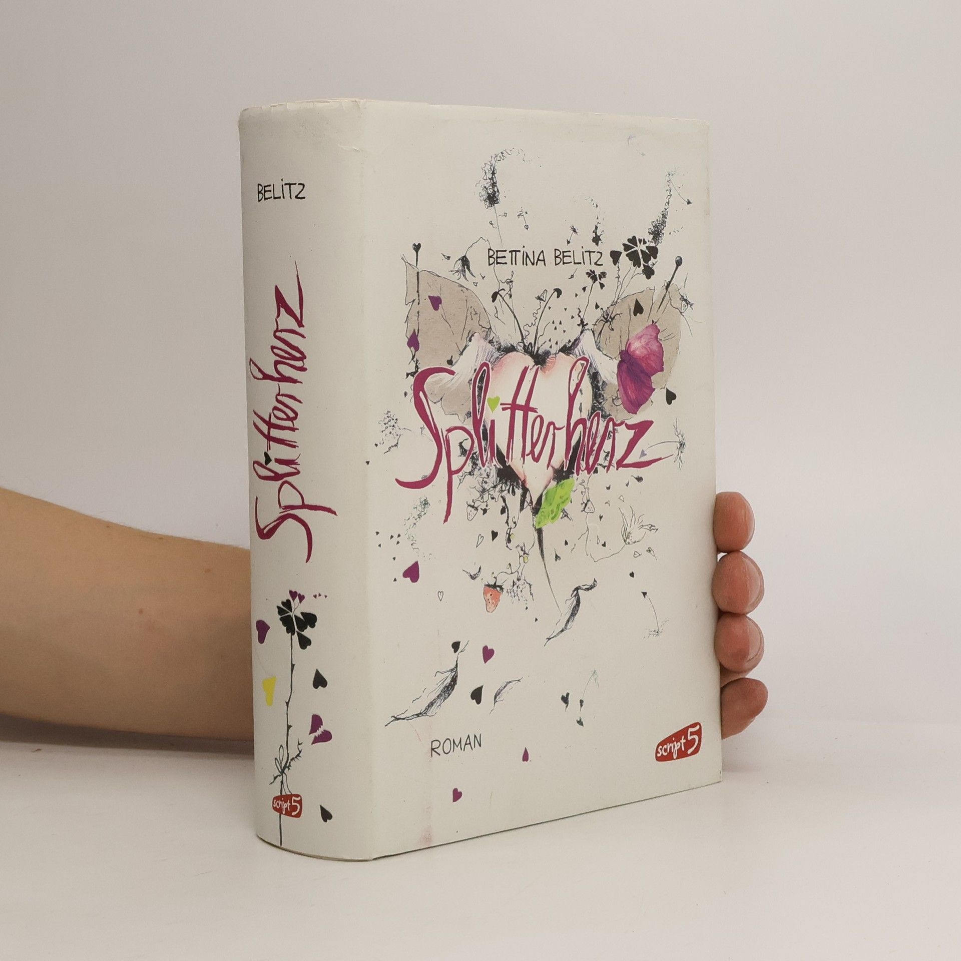 Bettina Belitz Splitterherz