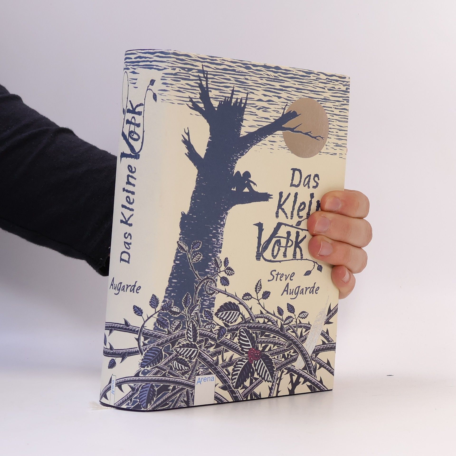 Steve Augarde Das Kleine Volk