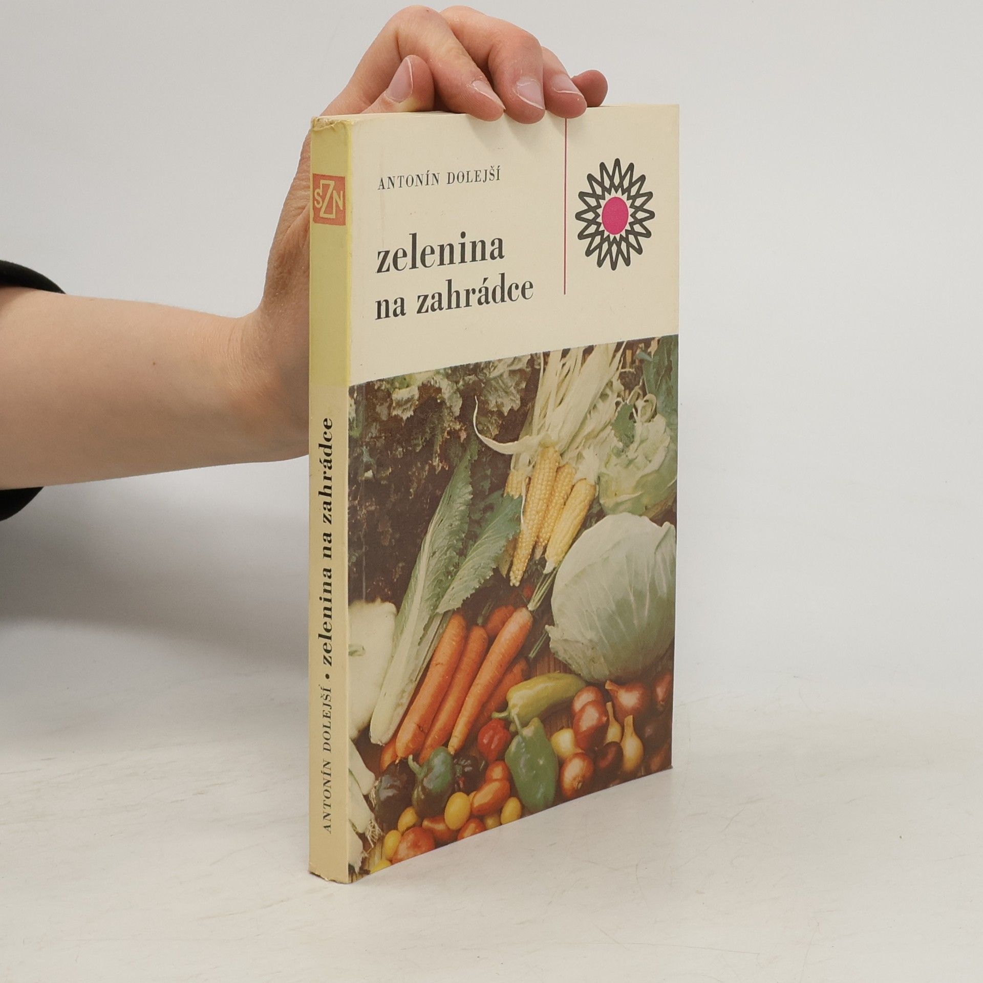 Antonín Dolejší Zelenina na zahrádce