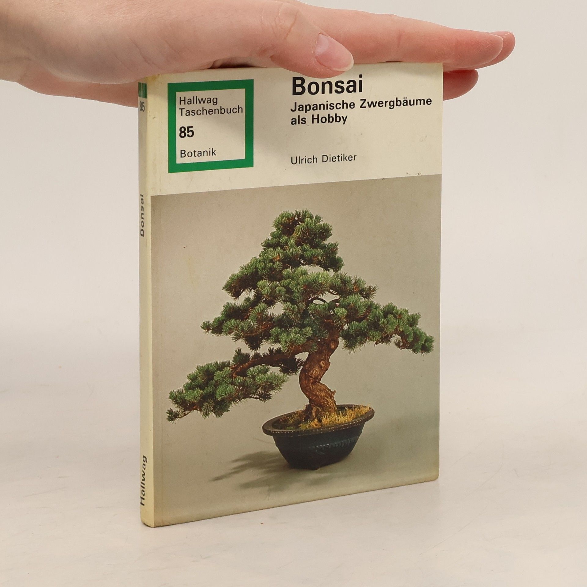 Ulrich Dietiker Bonsai