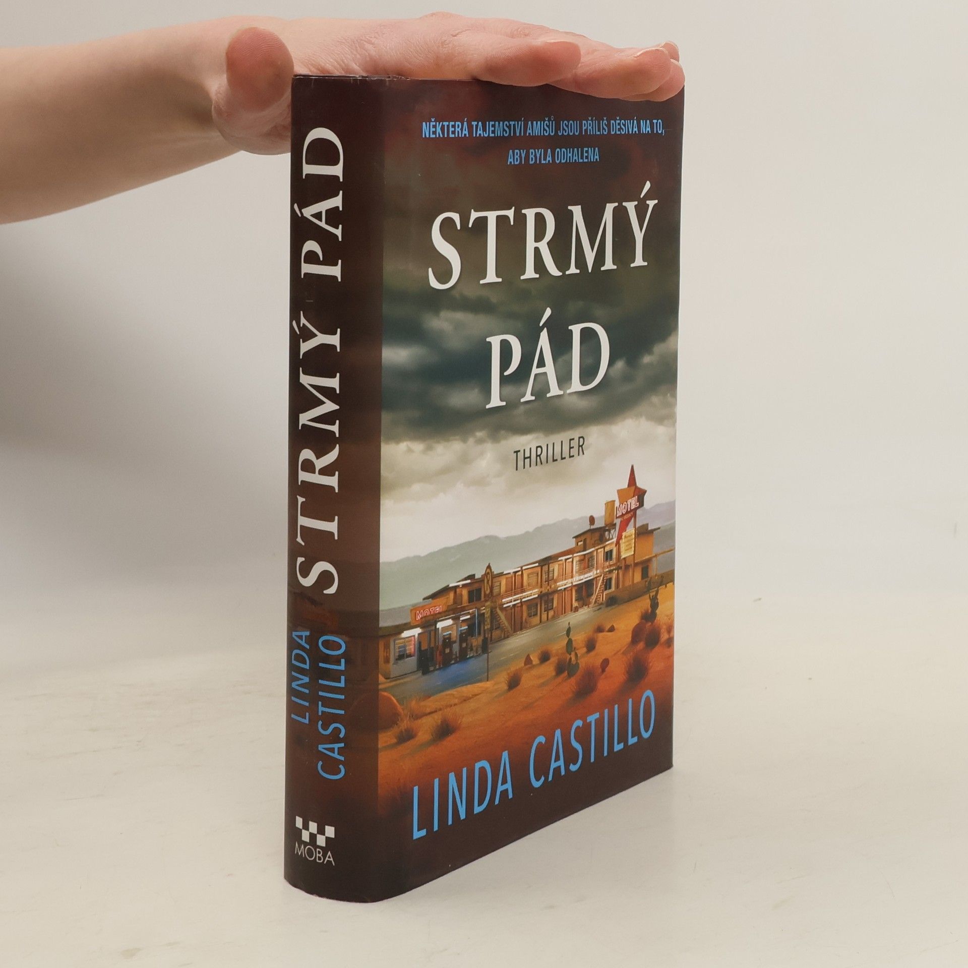 Linda Castillo Strmý pád