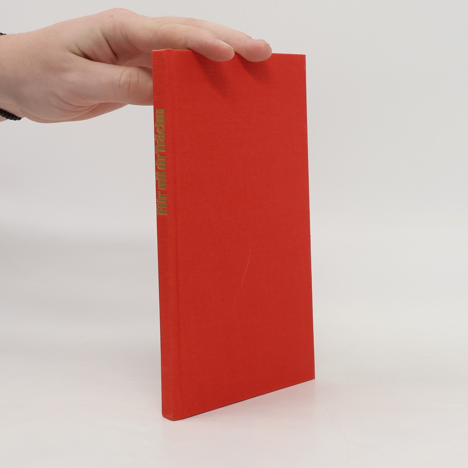 Autorenkollektiv Fiir uff dr Trächu