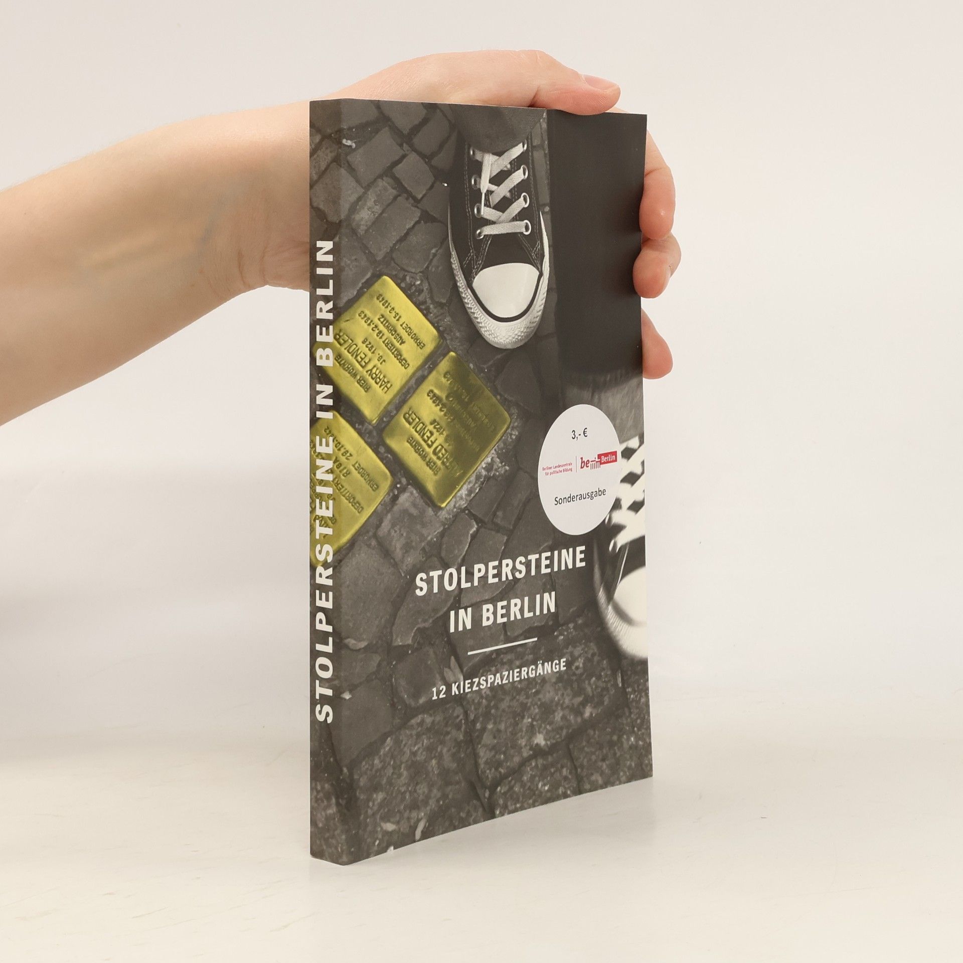 Stolpersteine in berlin