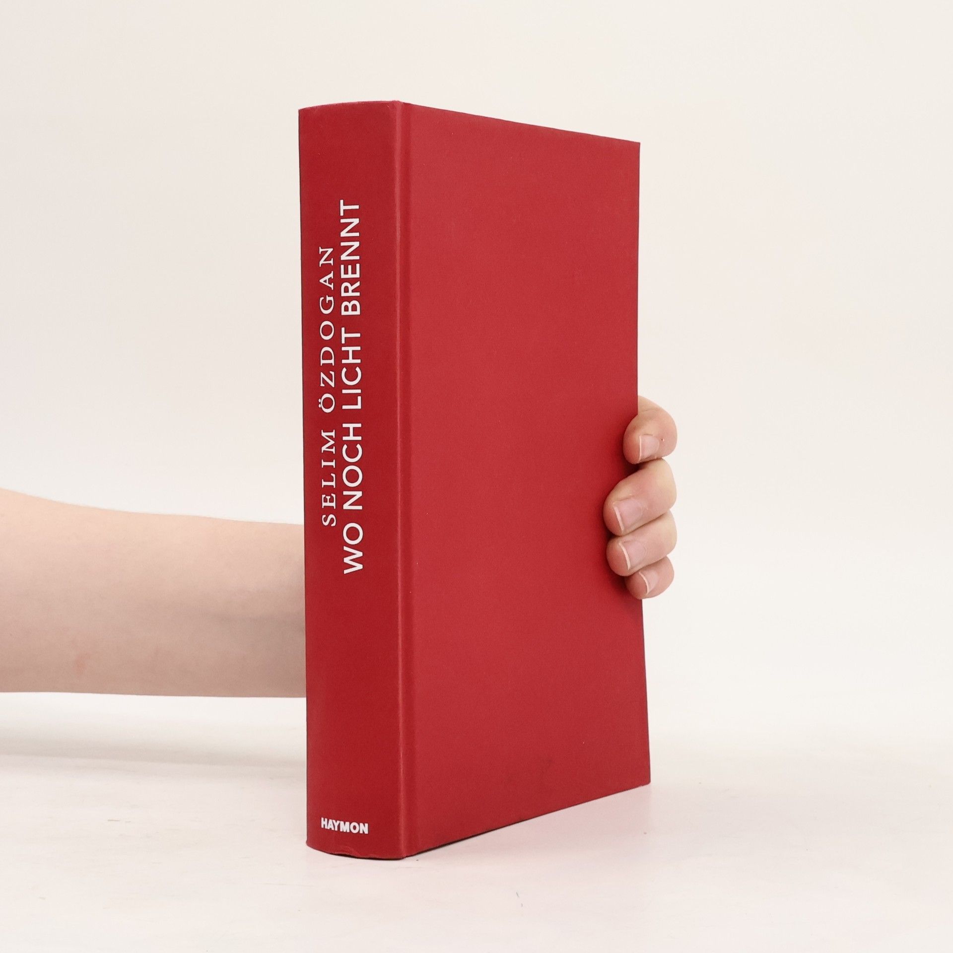 Selim Özdoğan Wo noch Licht brennt