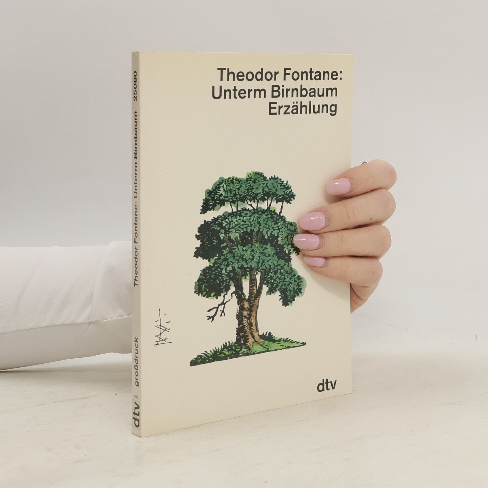 Theodor Fontane Unterm Birnbaum, Großdruck