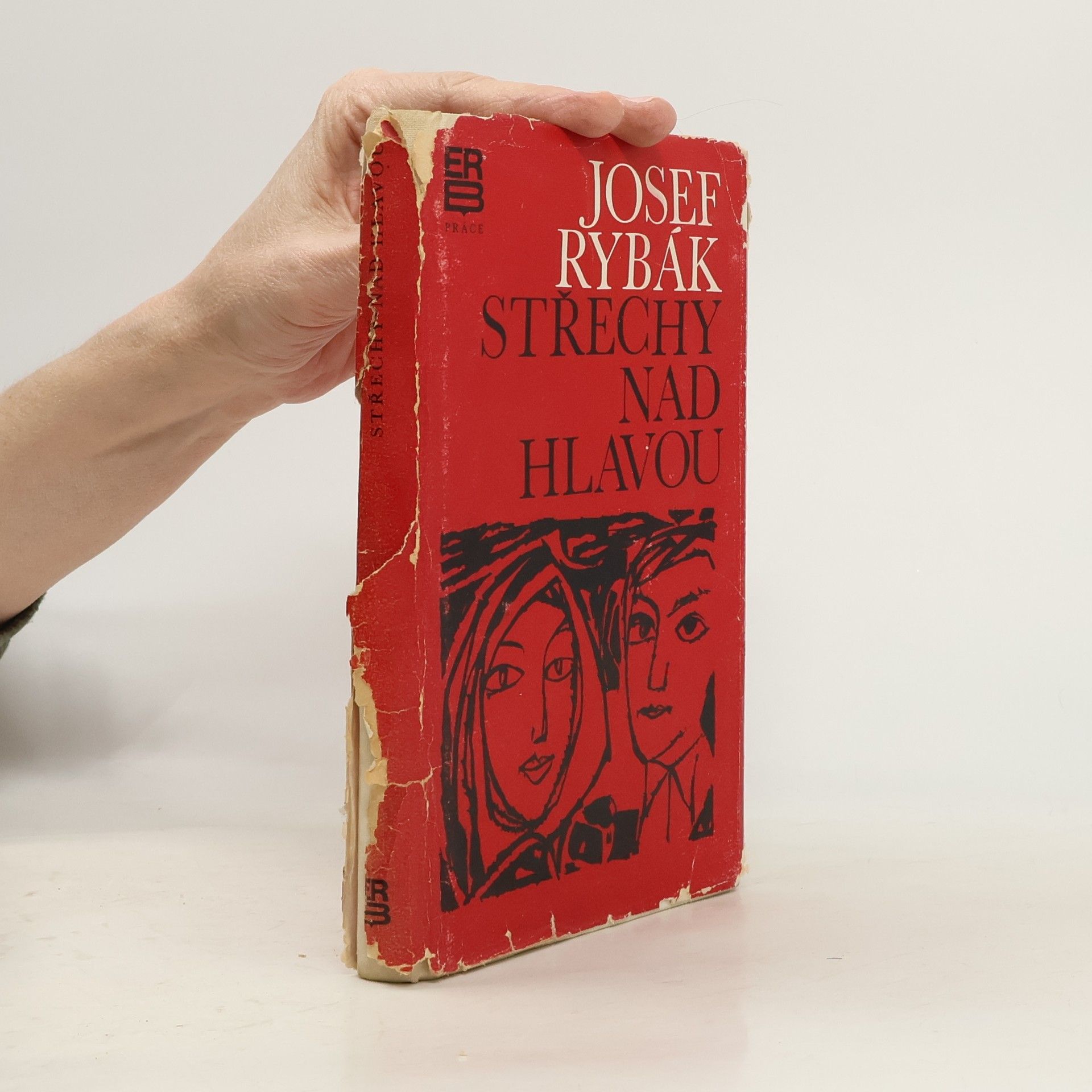 Josef Rybák Střechy nad hlavou