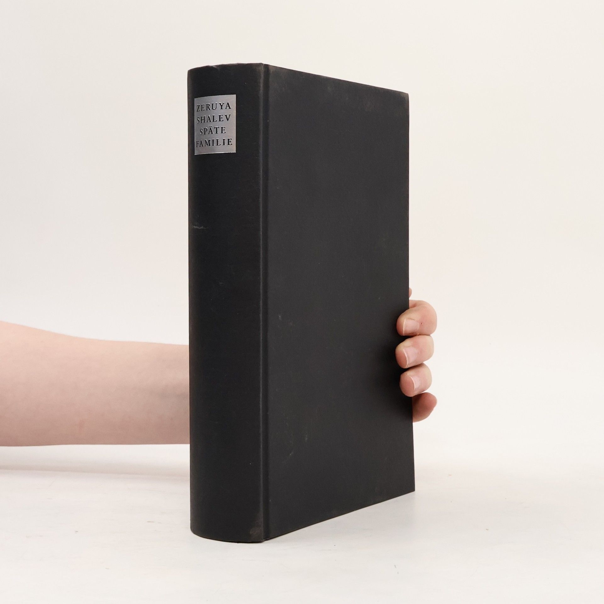 Zeruya Shalev Späte Familie