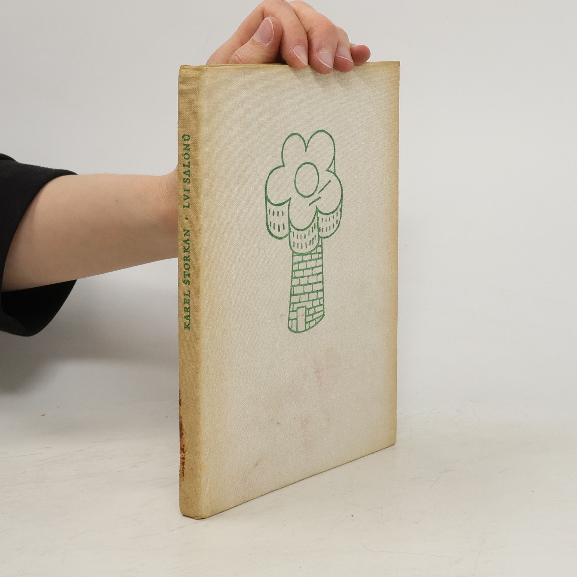 Karel Štorkán Lvi salónů