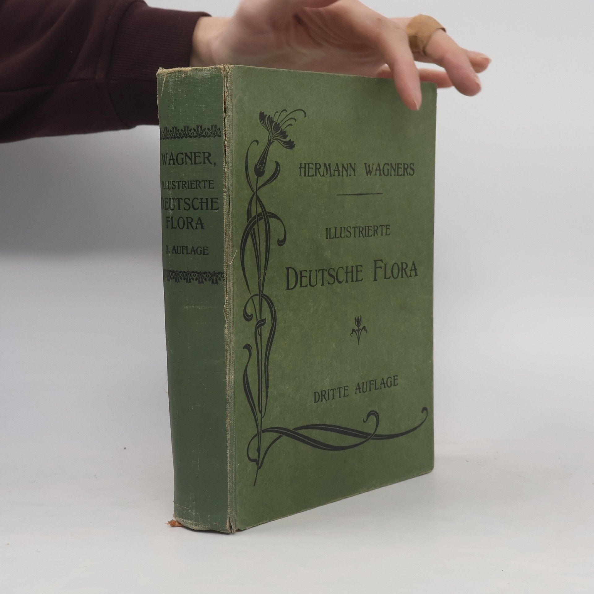 Hermann Wagner Illustrierte Deutsche Flora