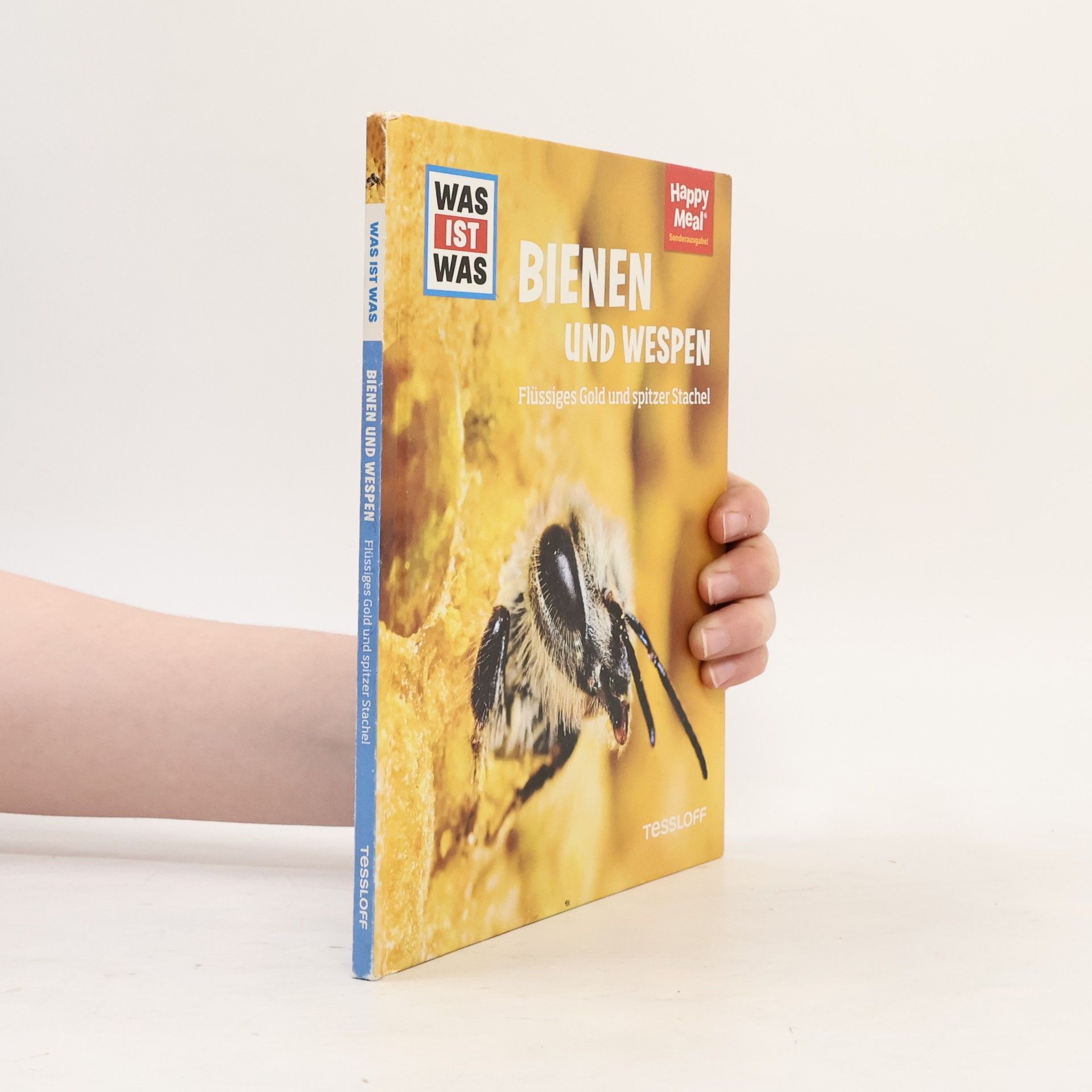 Autorenkollektiv Bienen und Wespen