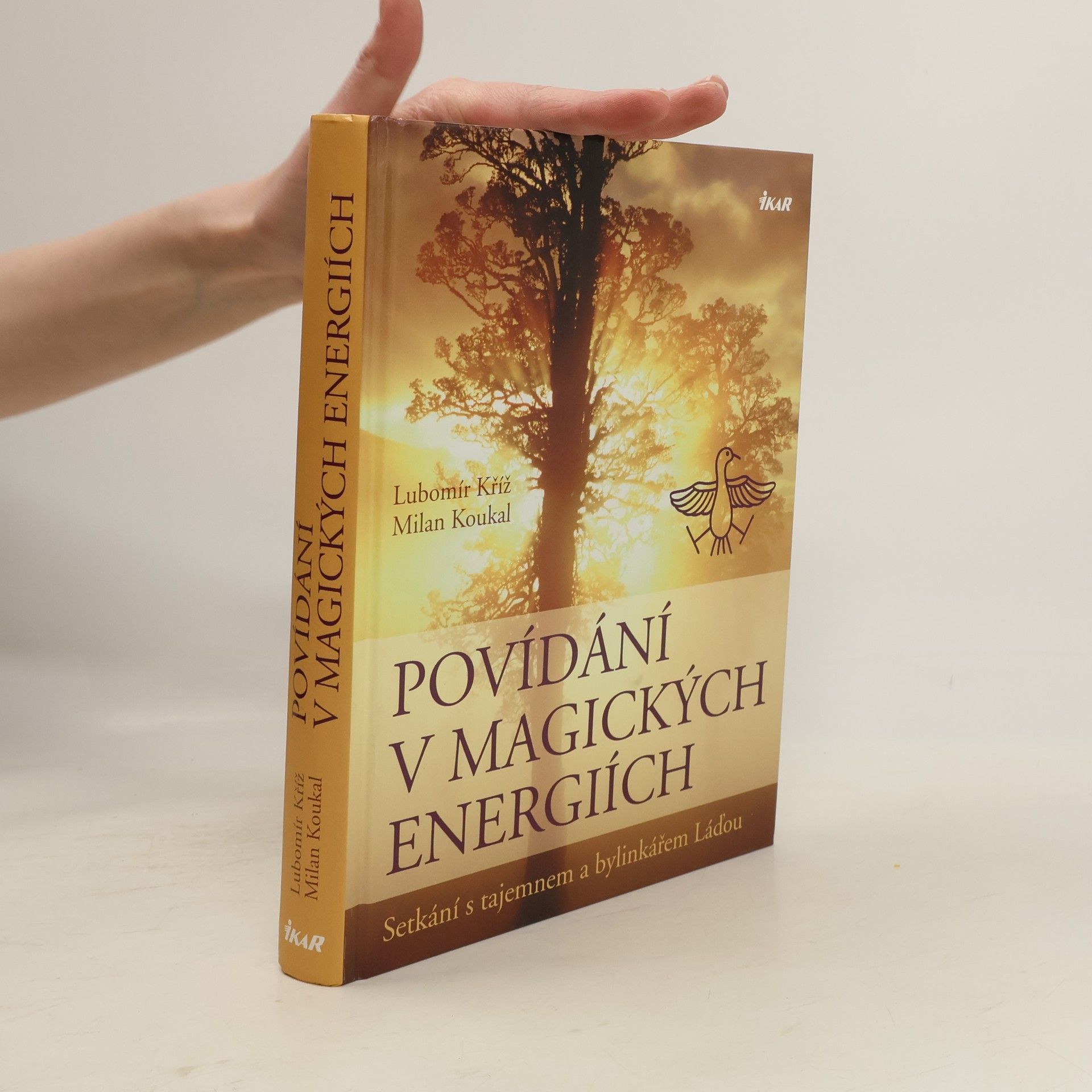 Lubomír Kříž Povídání v magických energiích