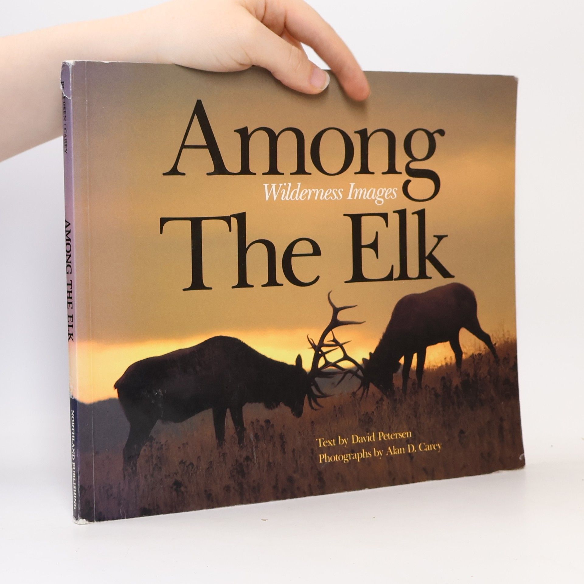 David Petersen Among the Elk