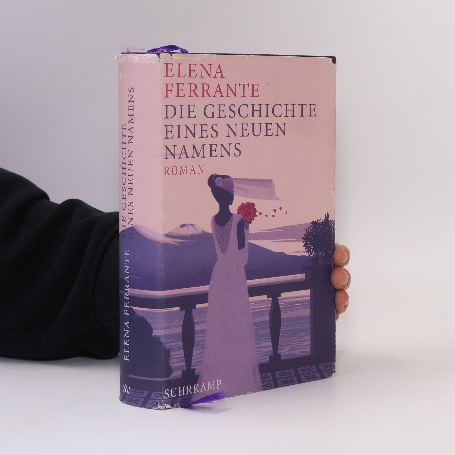 Elena Ferrante Die Geschichte eines neuen Namens: Jugendjahre