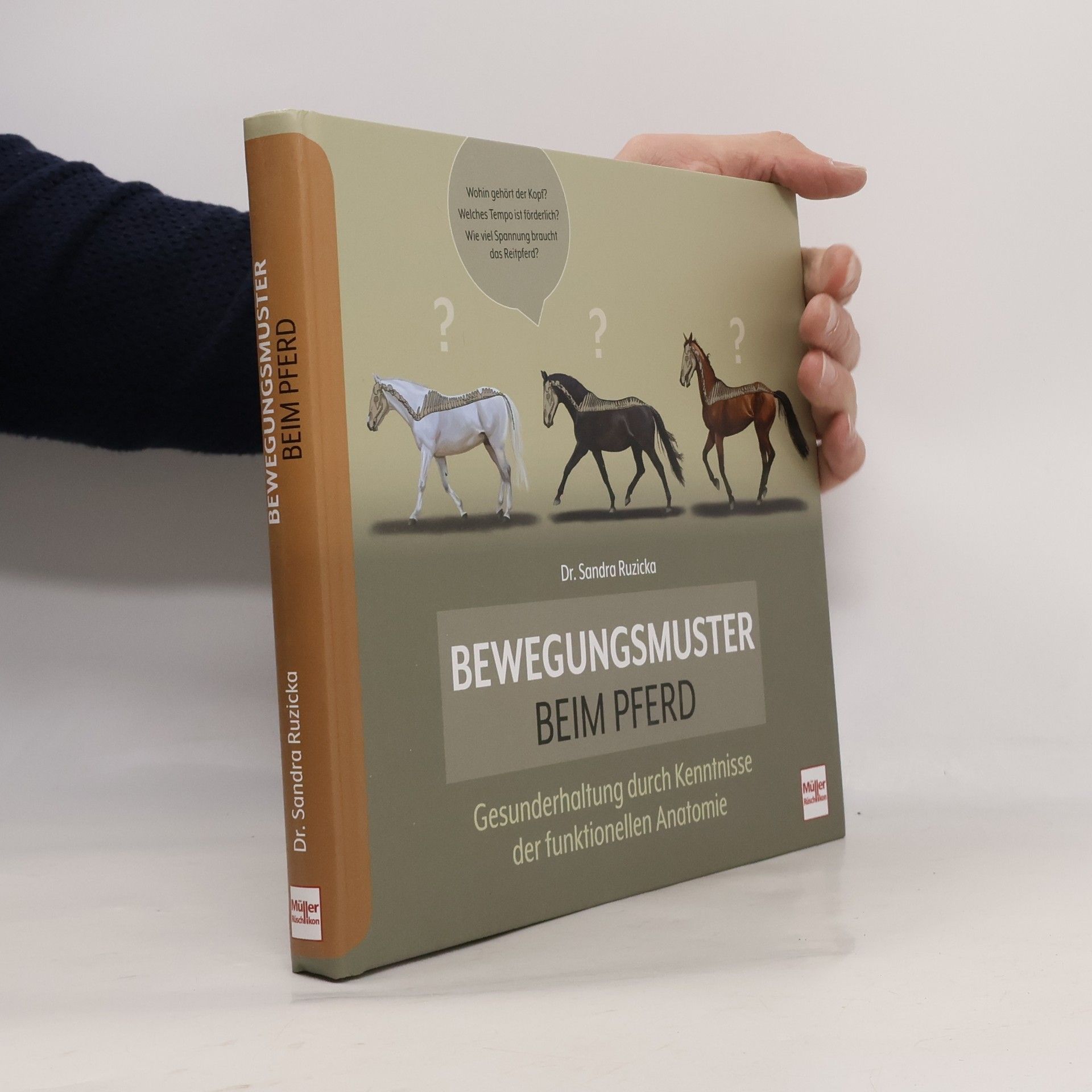 Sandra Ruzicka Bewegungsmuster beim Pferd