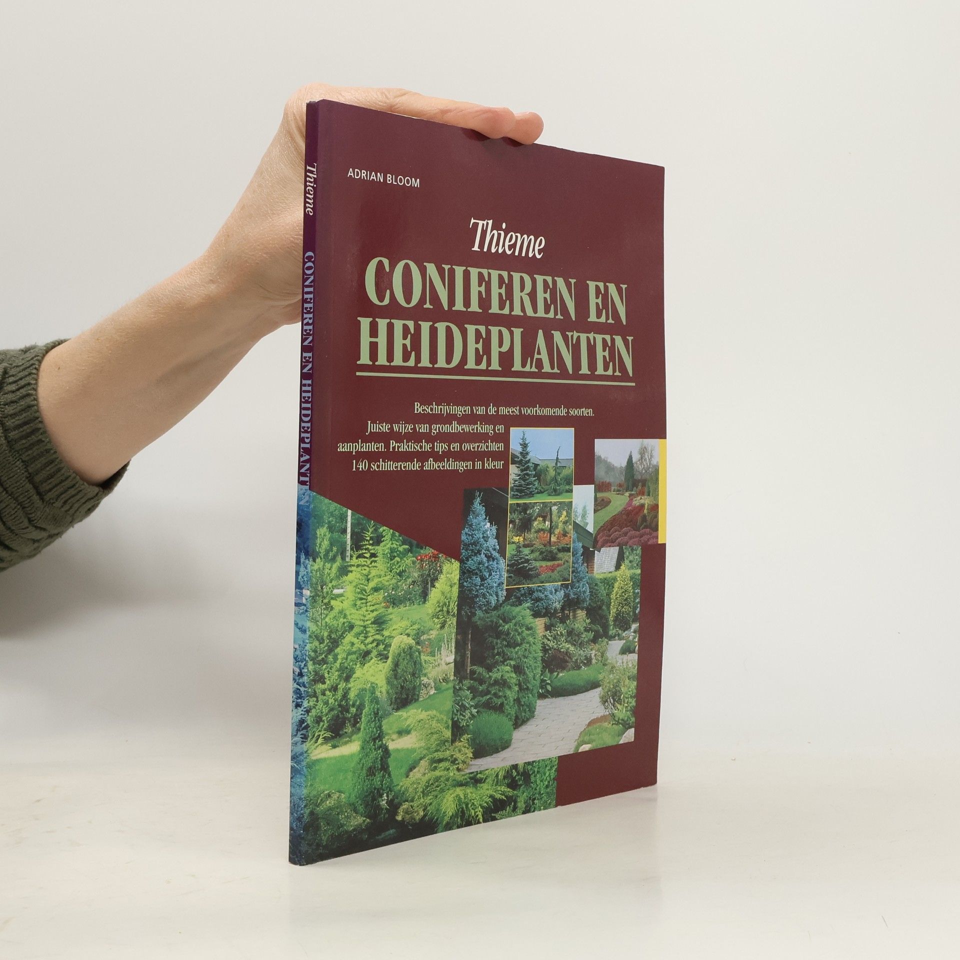 Coniferen en heideplanten