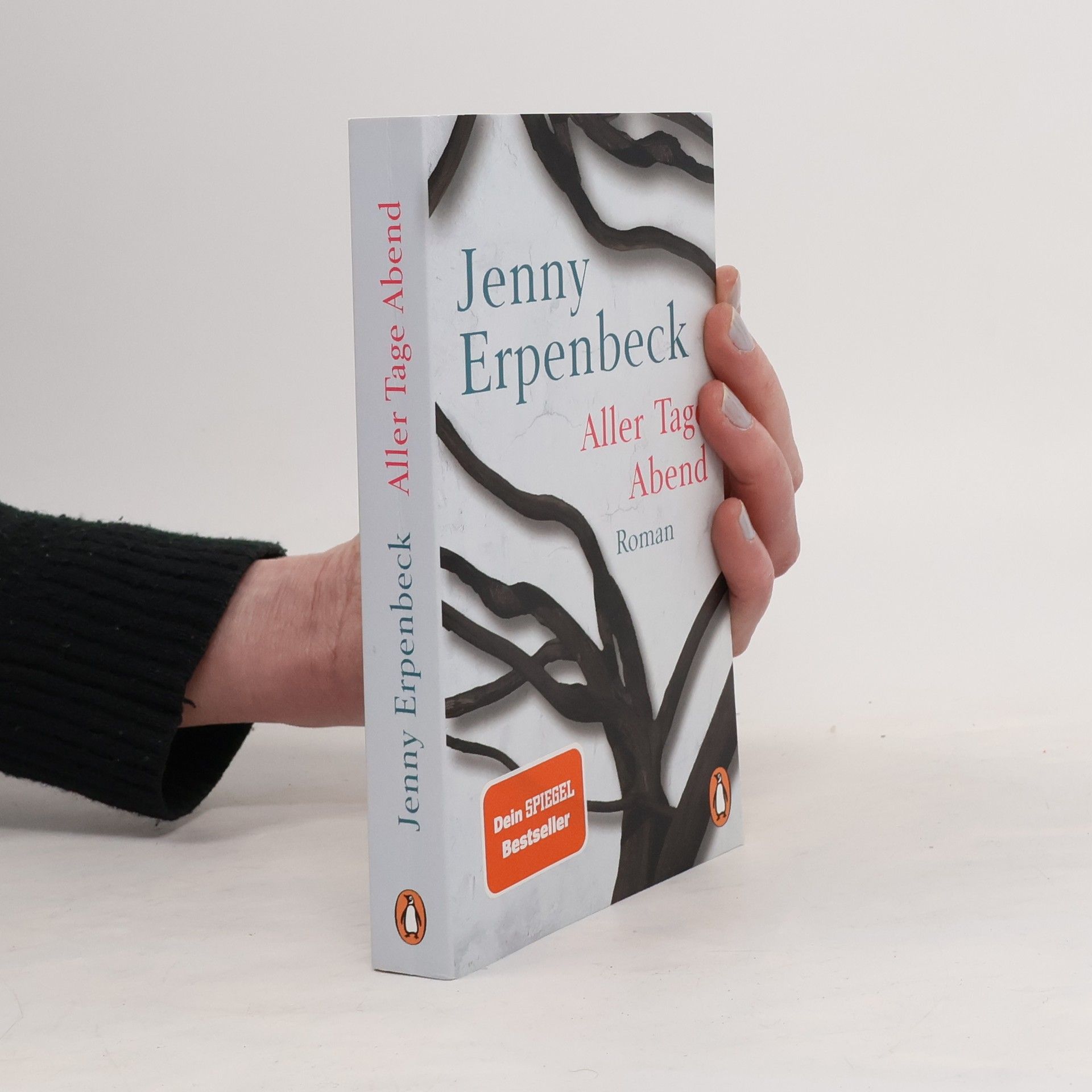 Jenny Erpenbeck Aller Tage Abend