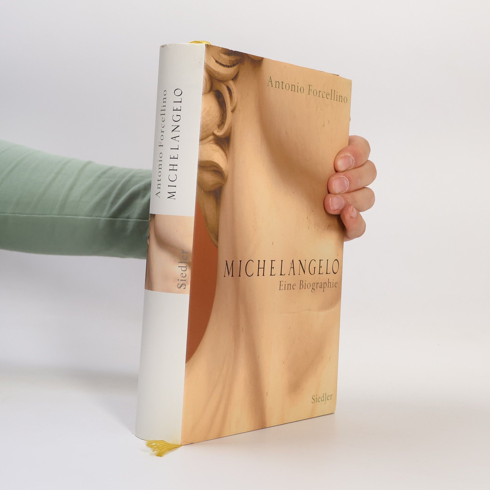 Antonio Forcellino Michelangelo