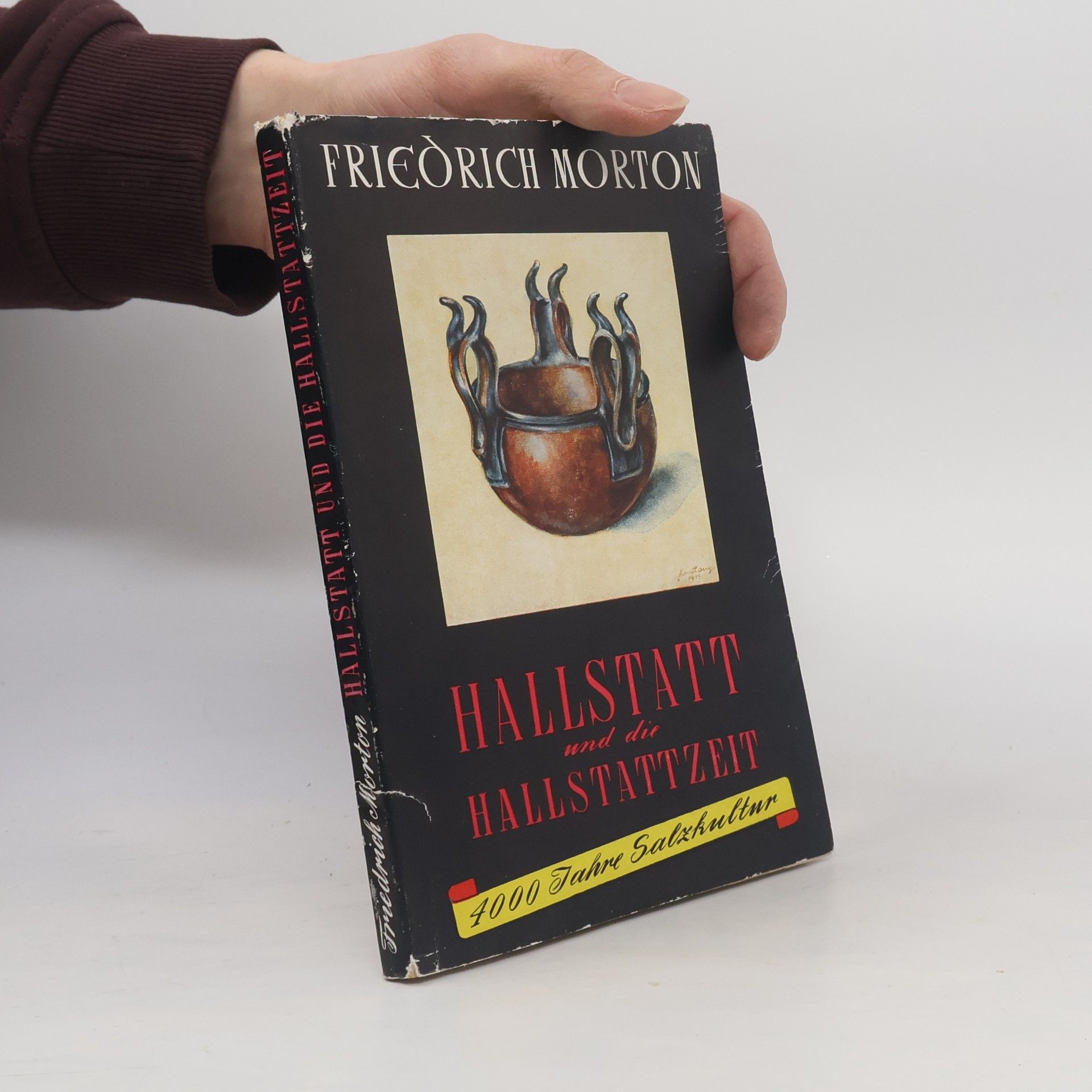 Hallstatt und die Hallstattzeit