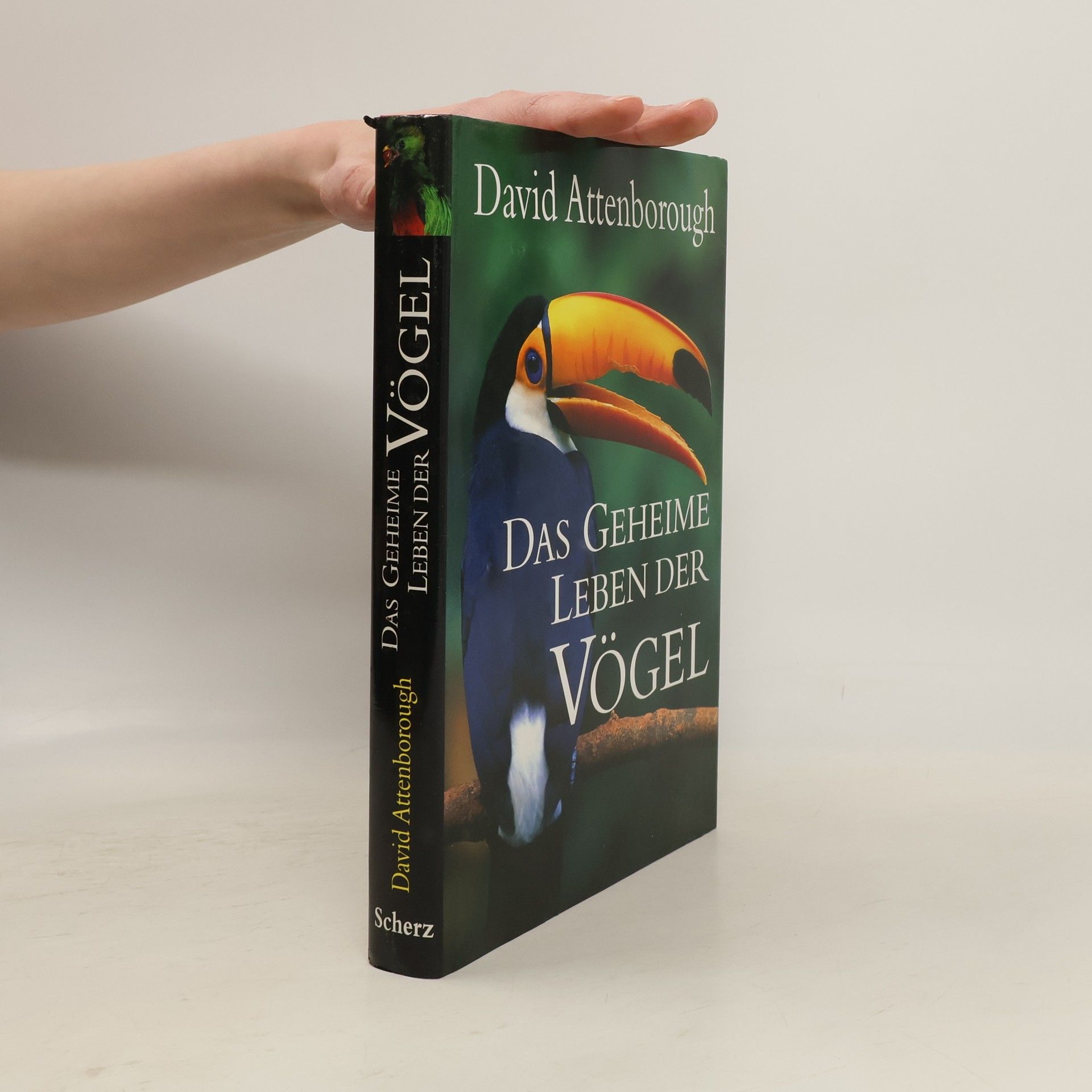 David Attenborough Das geheime Leben der Vögel