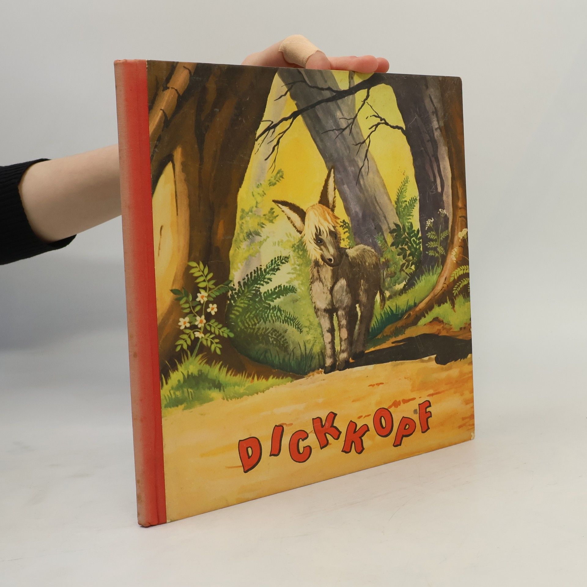 Ilona Pálné Kovács Dickkopf