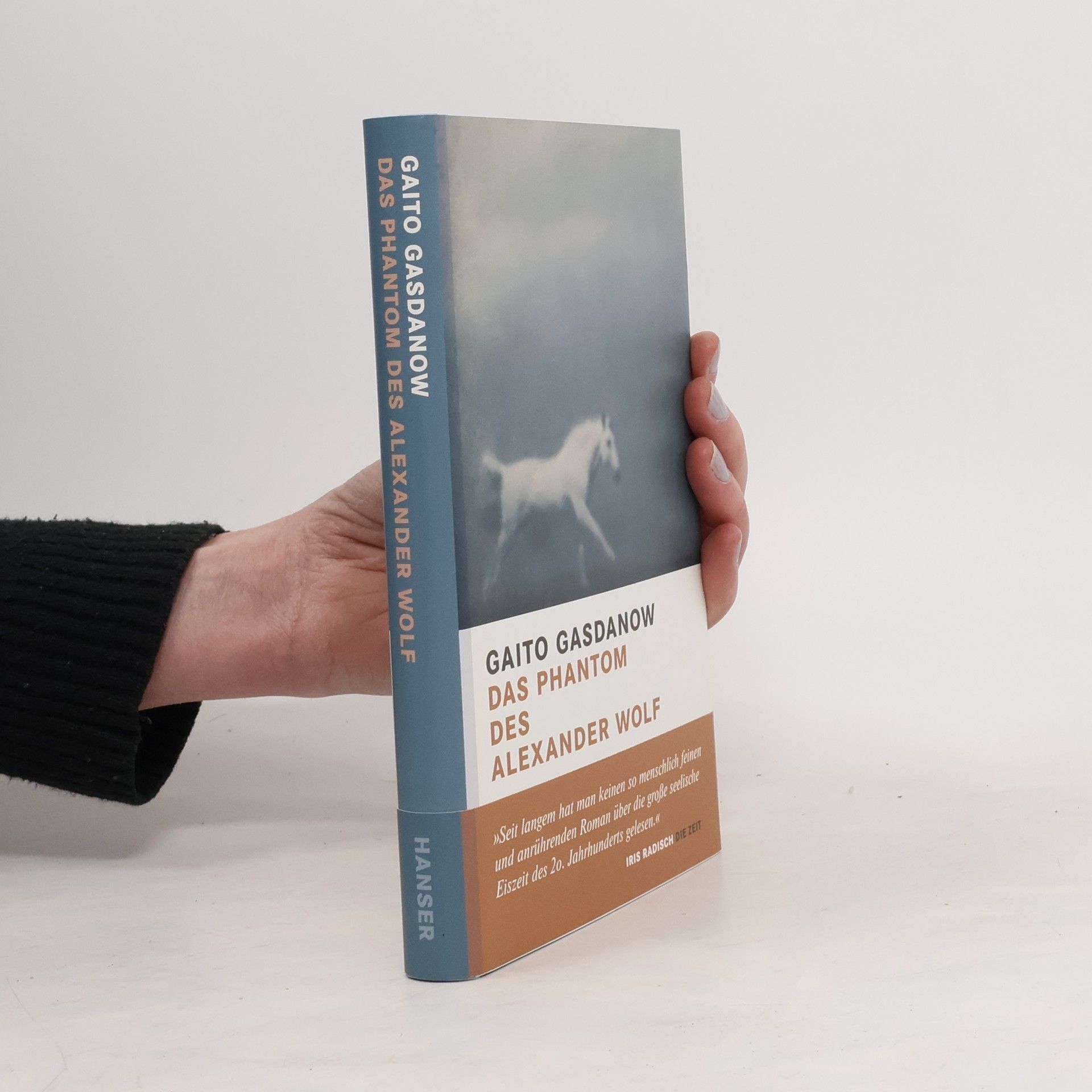 Gaito Gazdanov Das Phantom des Alexander Wolf