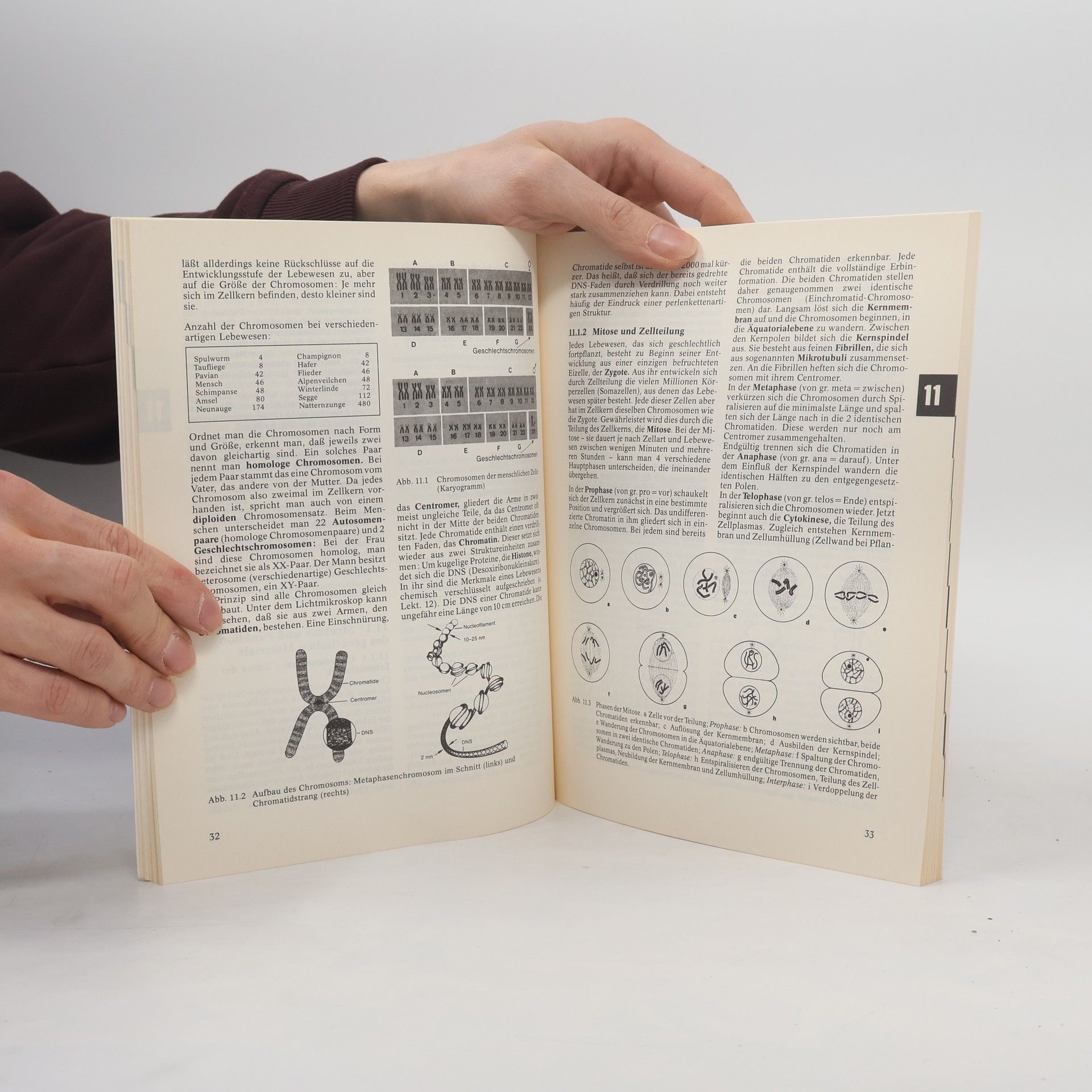 Franz Mesch Telekolleg II. Biologie 2