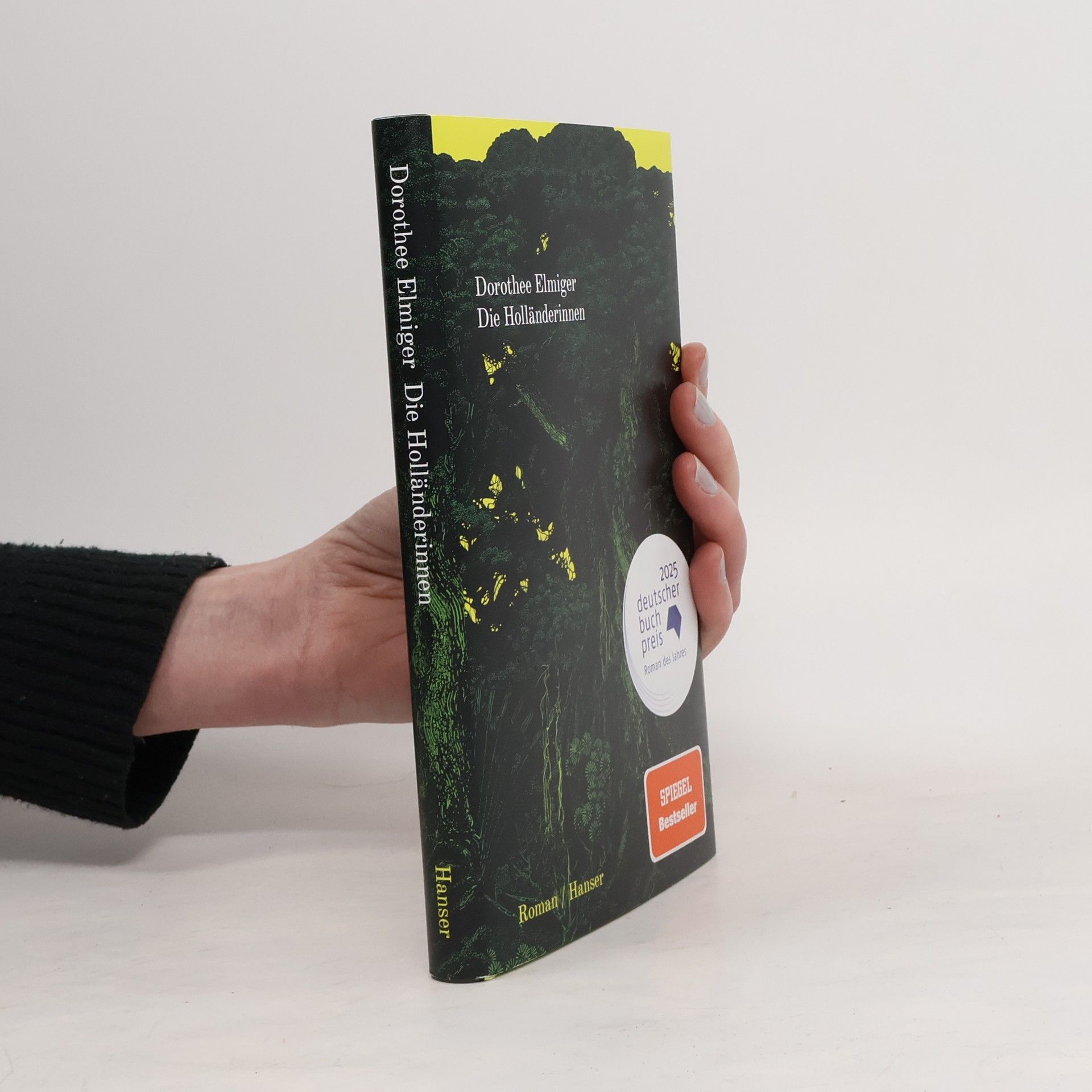 Dorothee Elmiger Die Holländerinnen