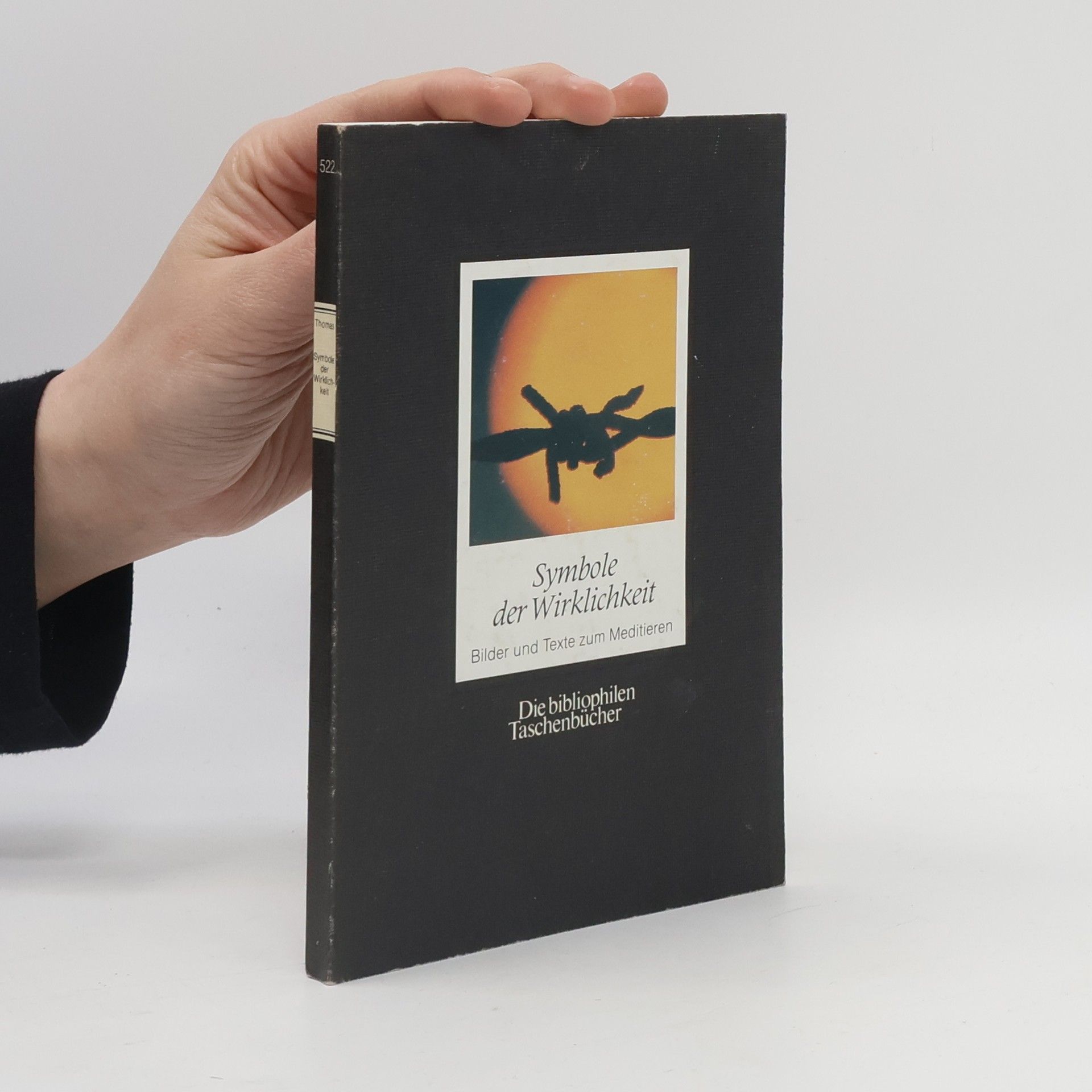 Hans-Martin Thomas Symbole der Wirklichkeit