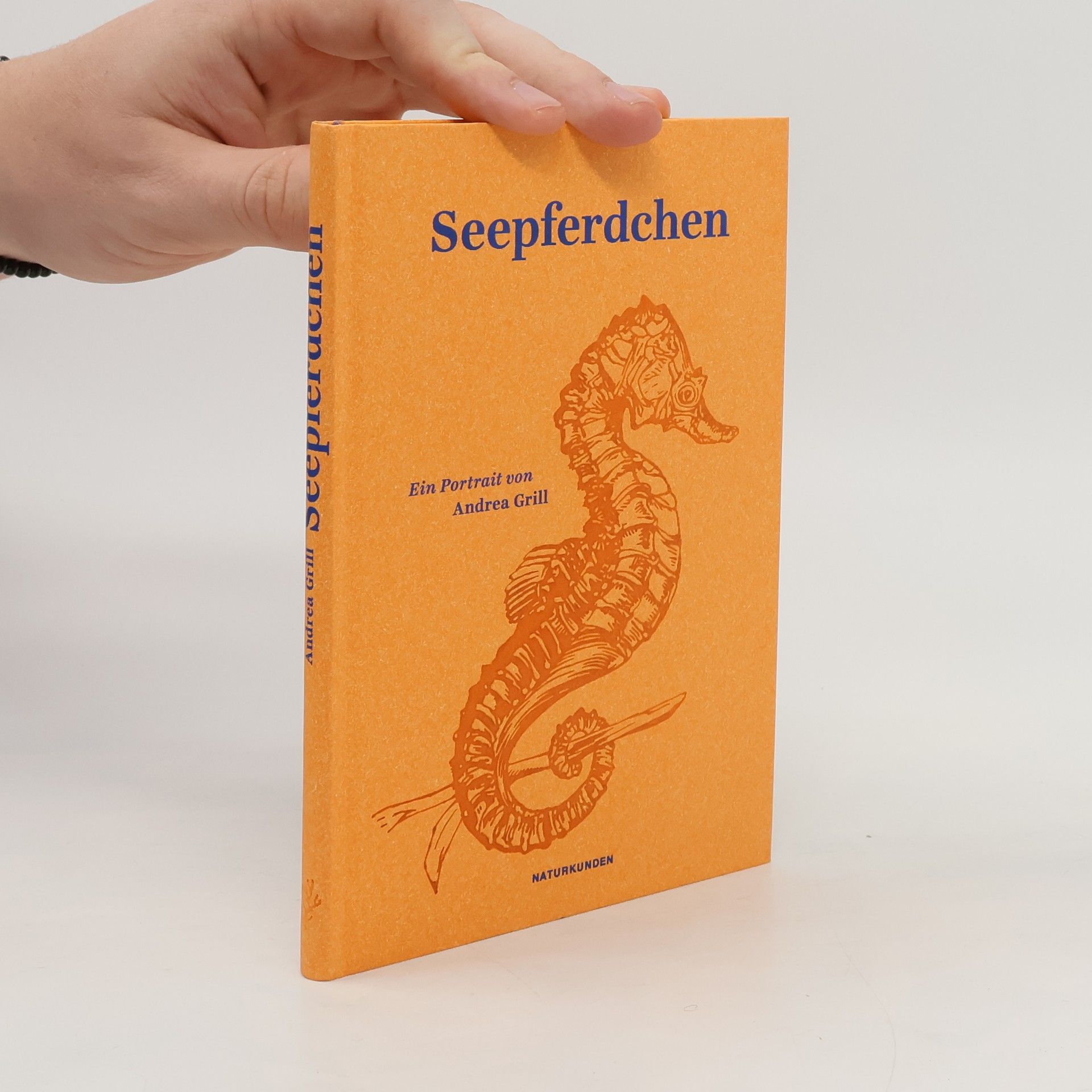 Andrea Grill Seepferdchen