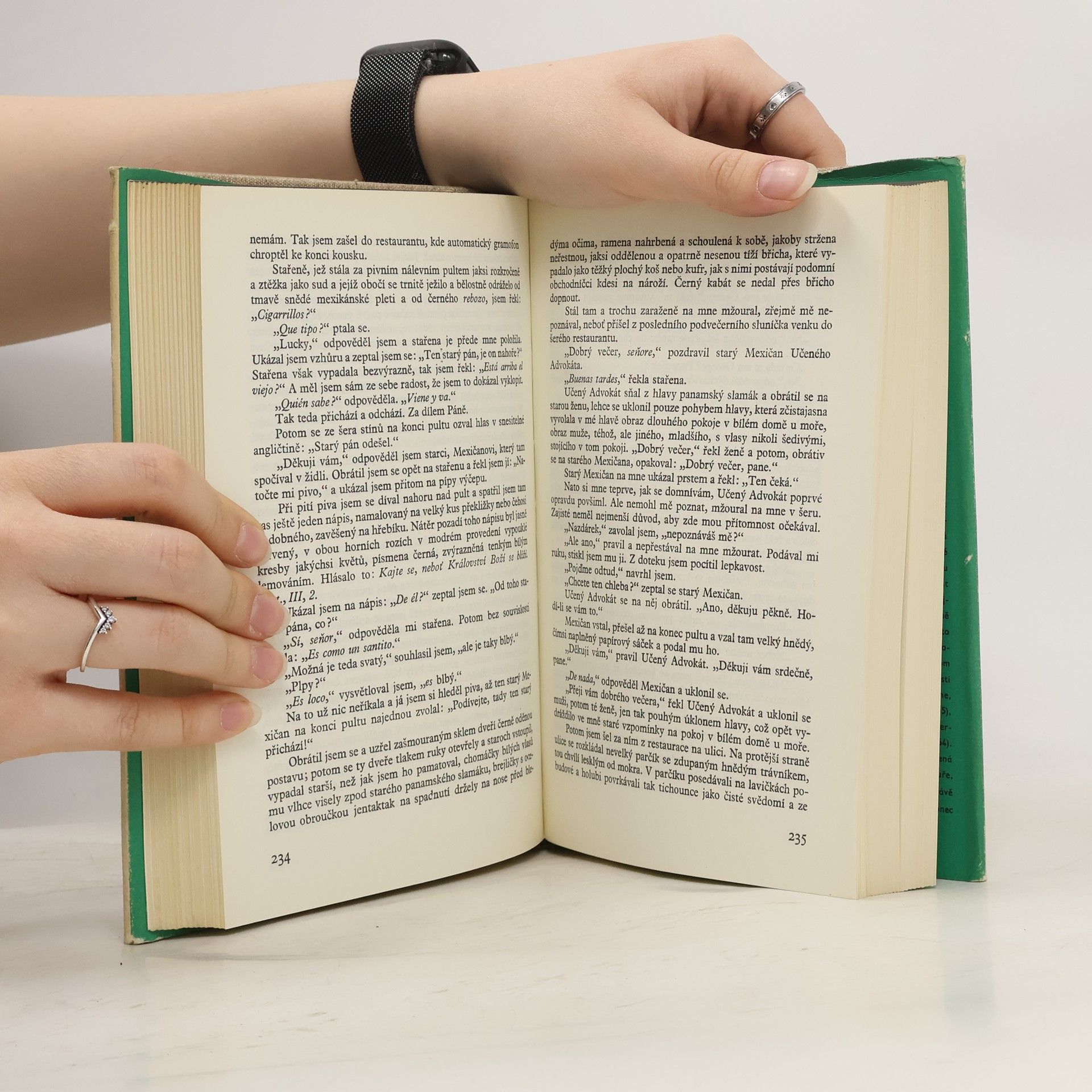 Robert Penn Warren Všichni jsou zbrojnoši královi