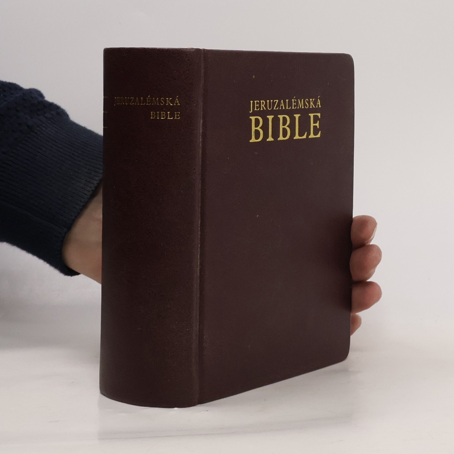 Dagmar Halasová Jeruzalémská Bible